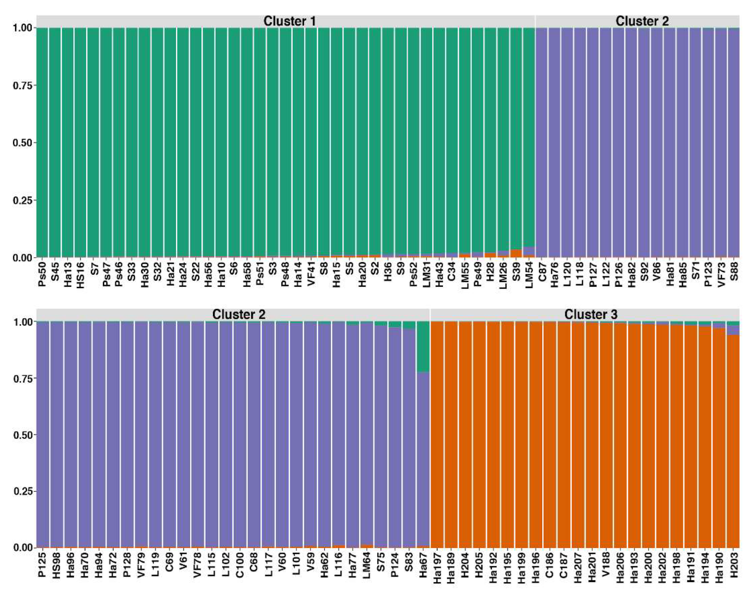 Preprints 118992 g003