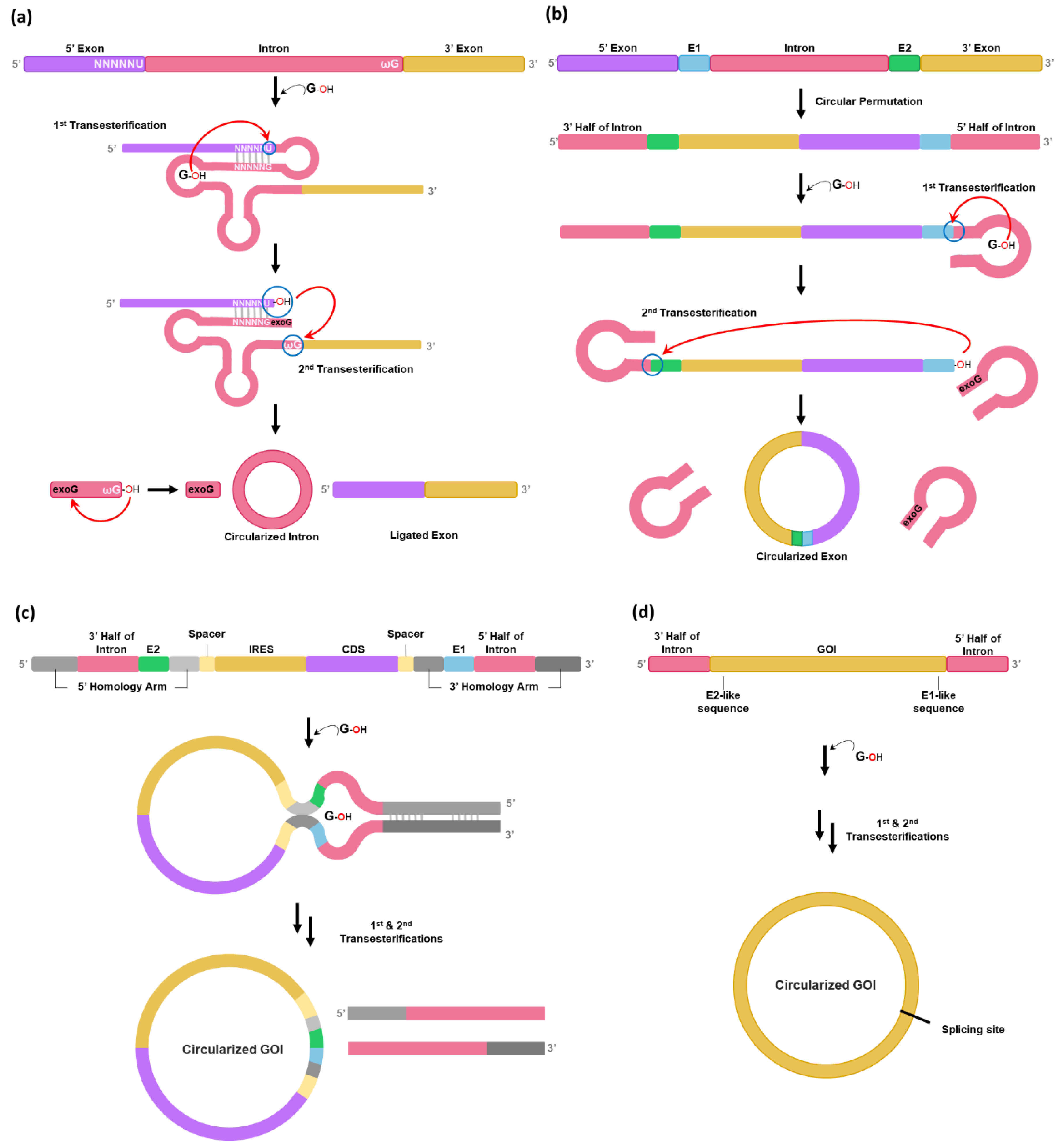 Preprints 114365 g001