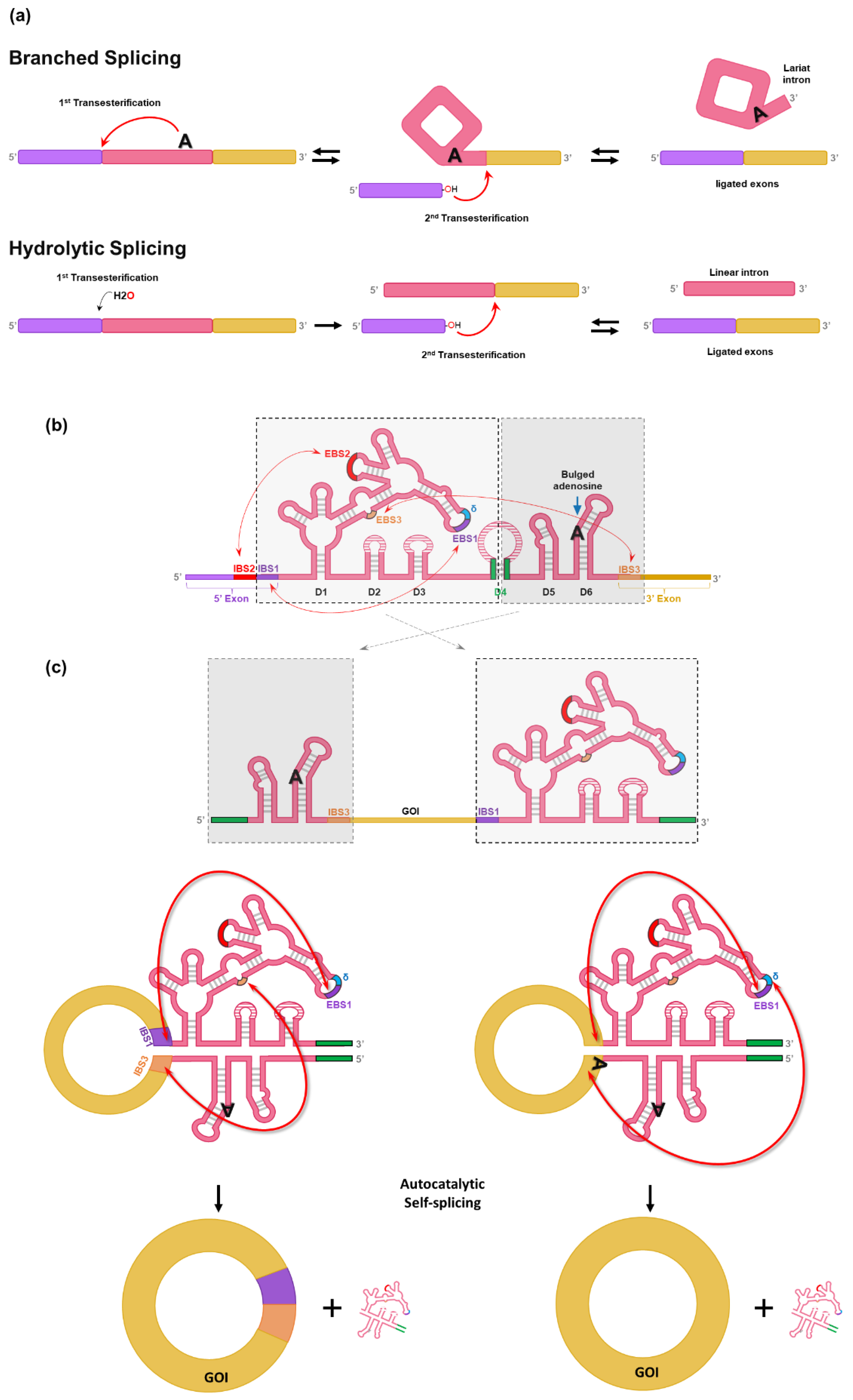 Preprints 114365 g002