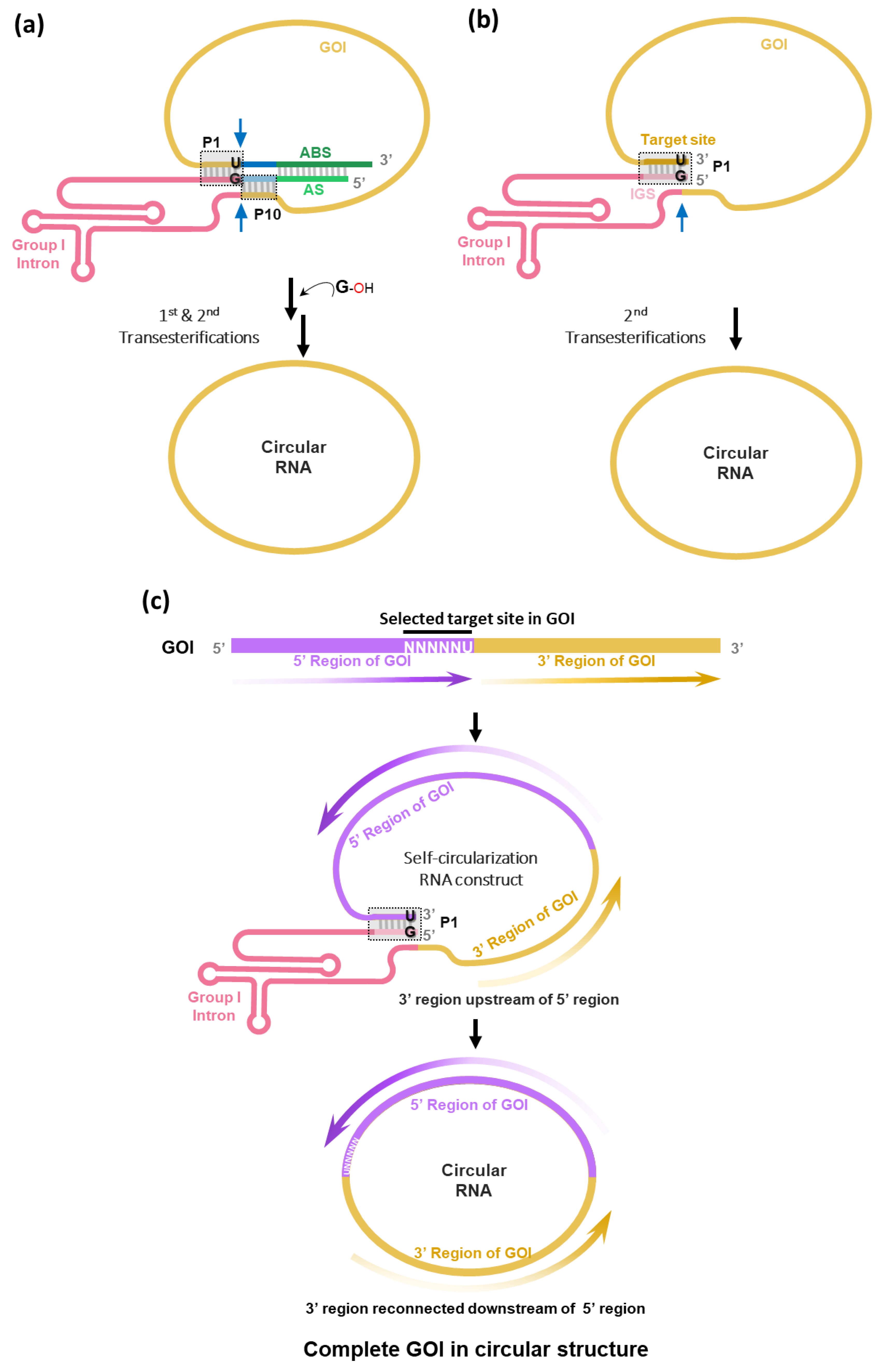 Preprints 114365 g003