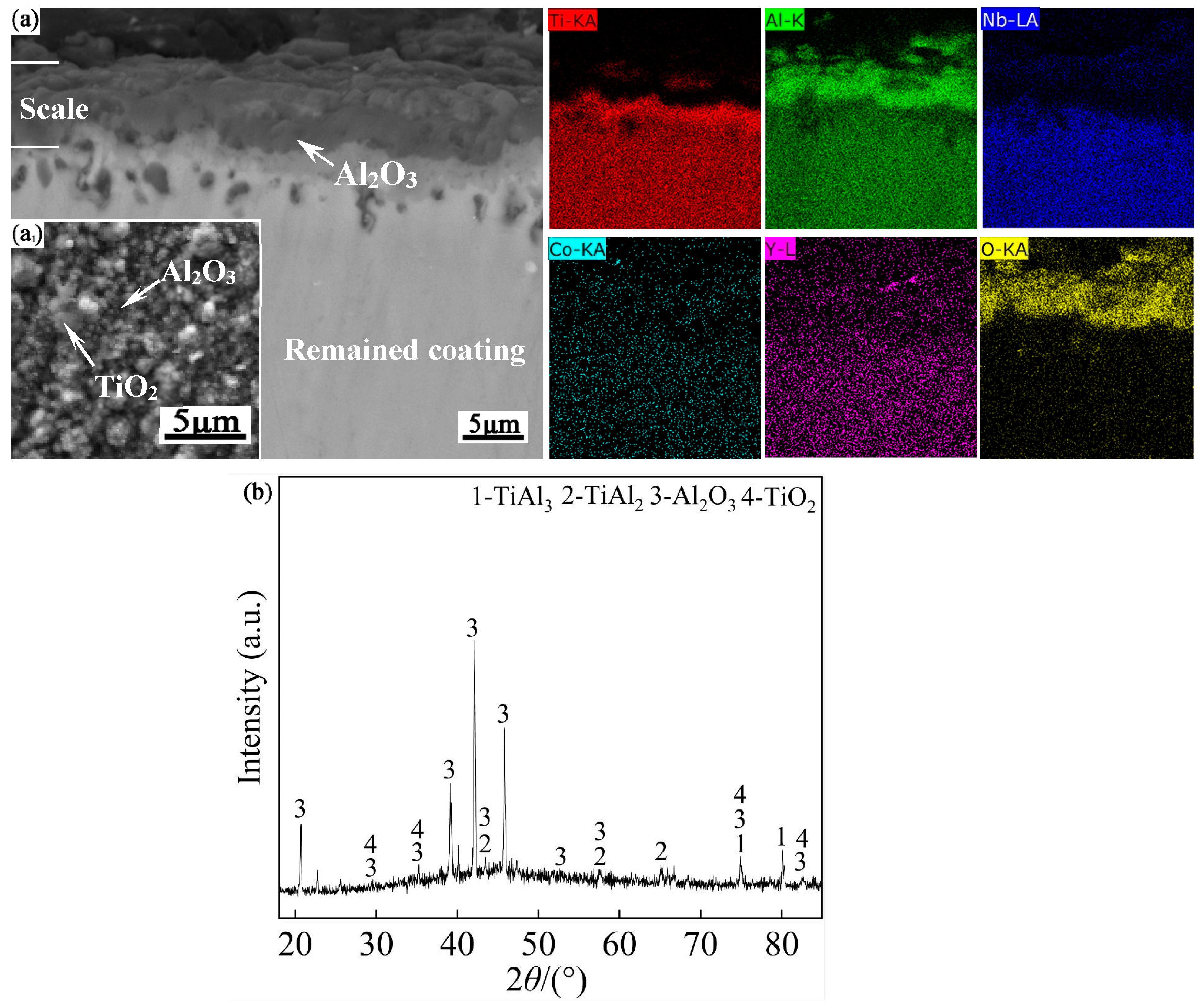 Preprints 84026 g009