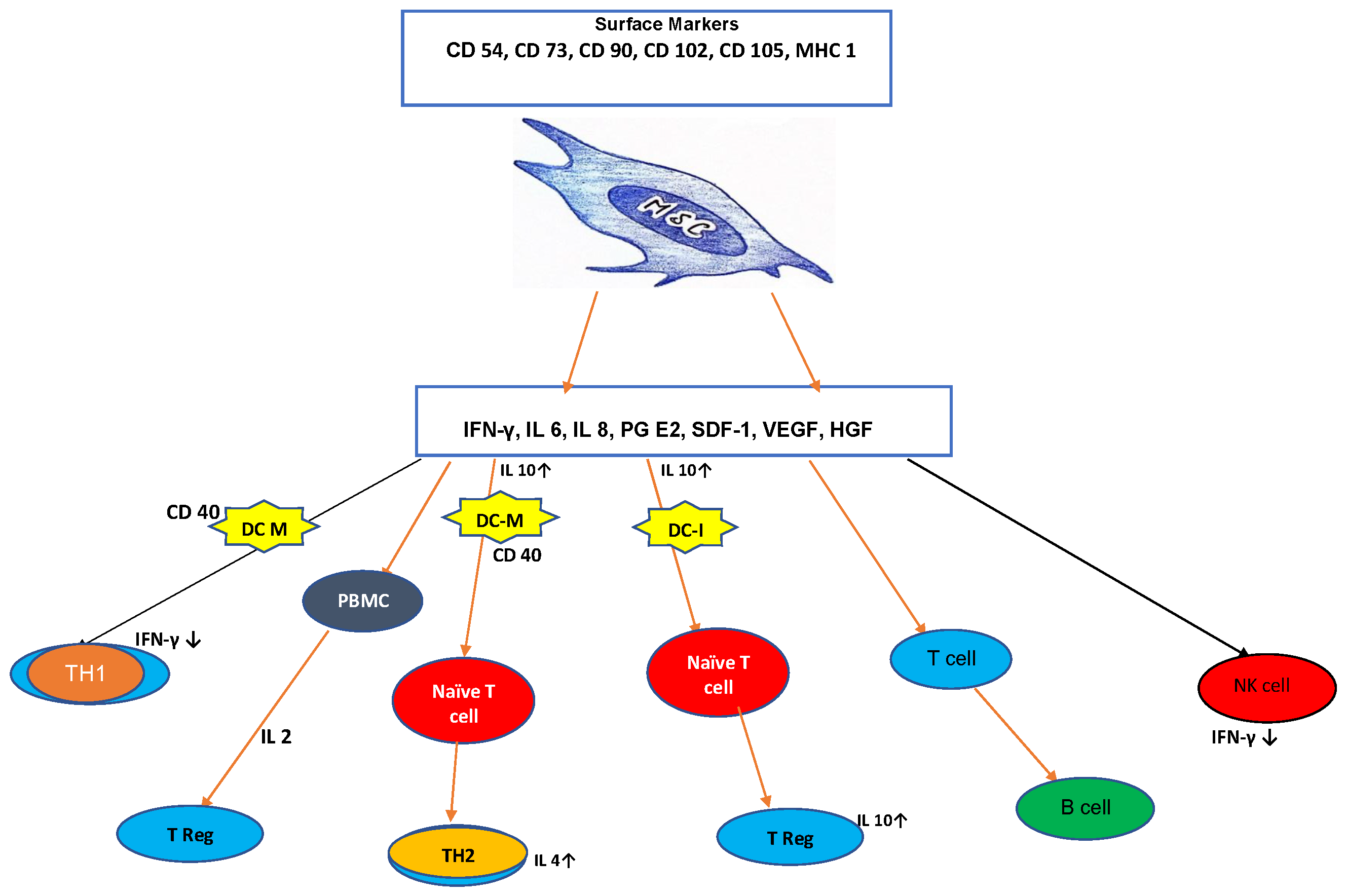 Preprints 104335 g001