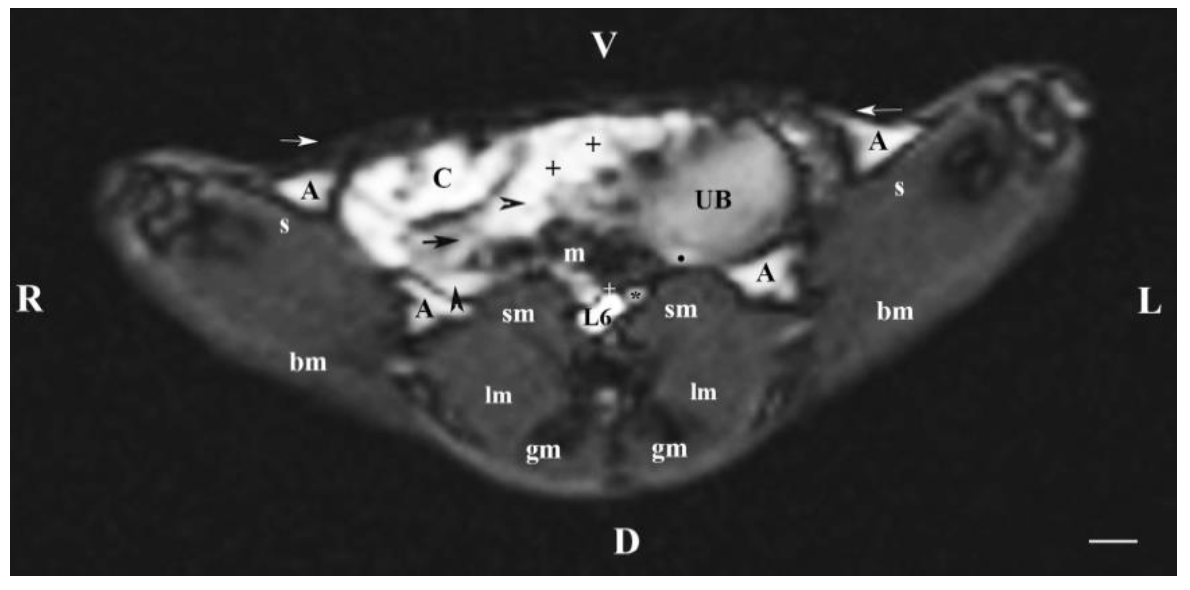 Preprints 110700 g006