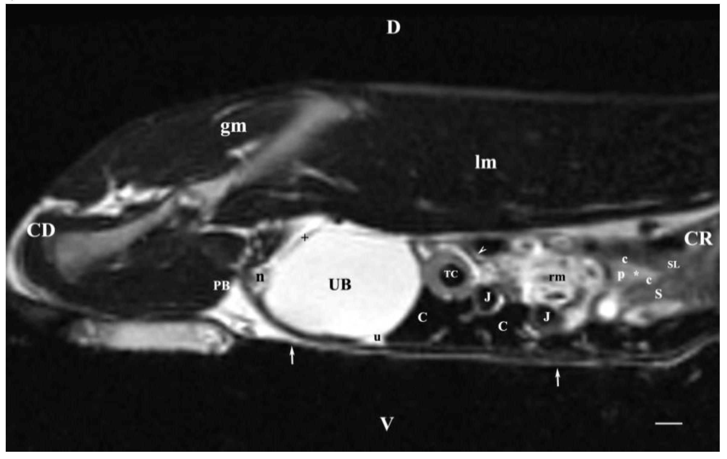 Preprints 110700 g010