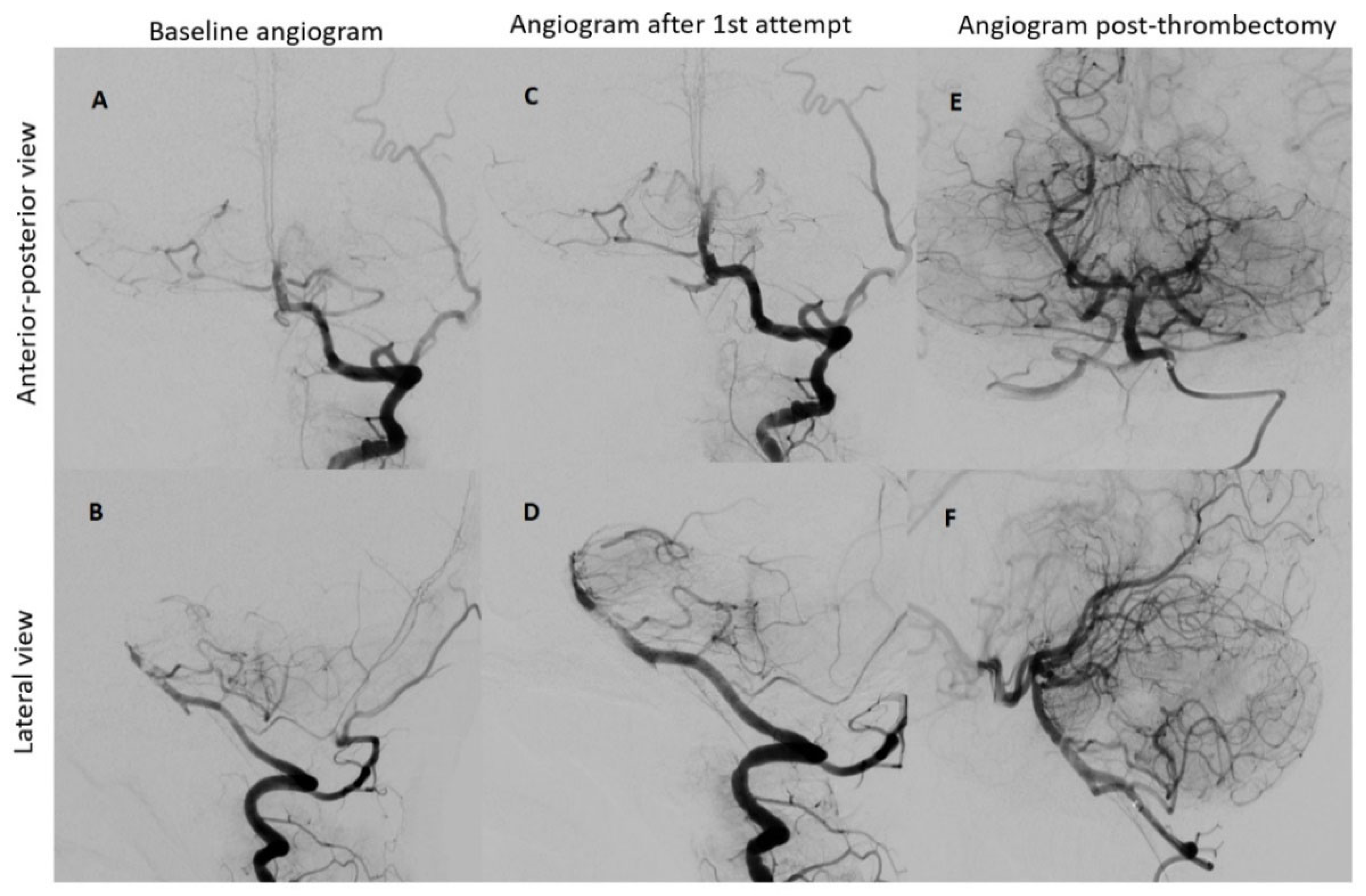 Preprints 85239 g003