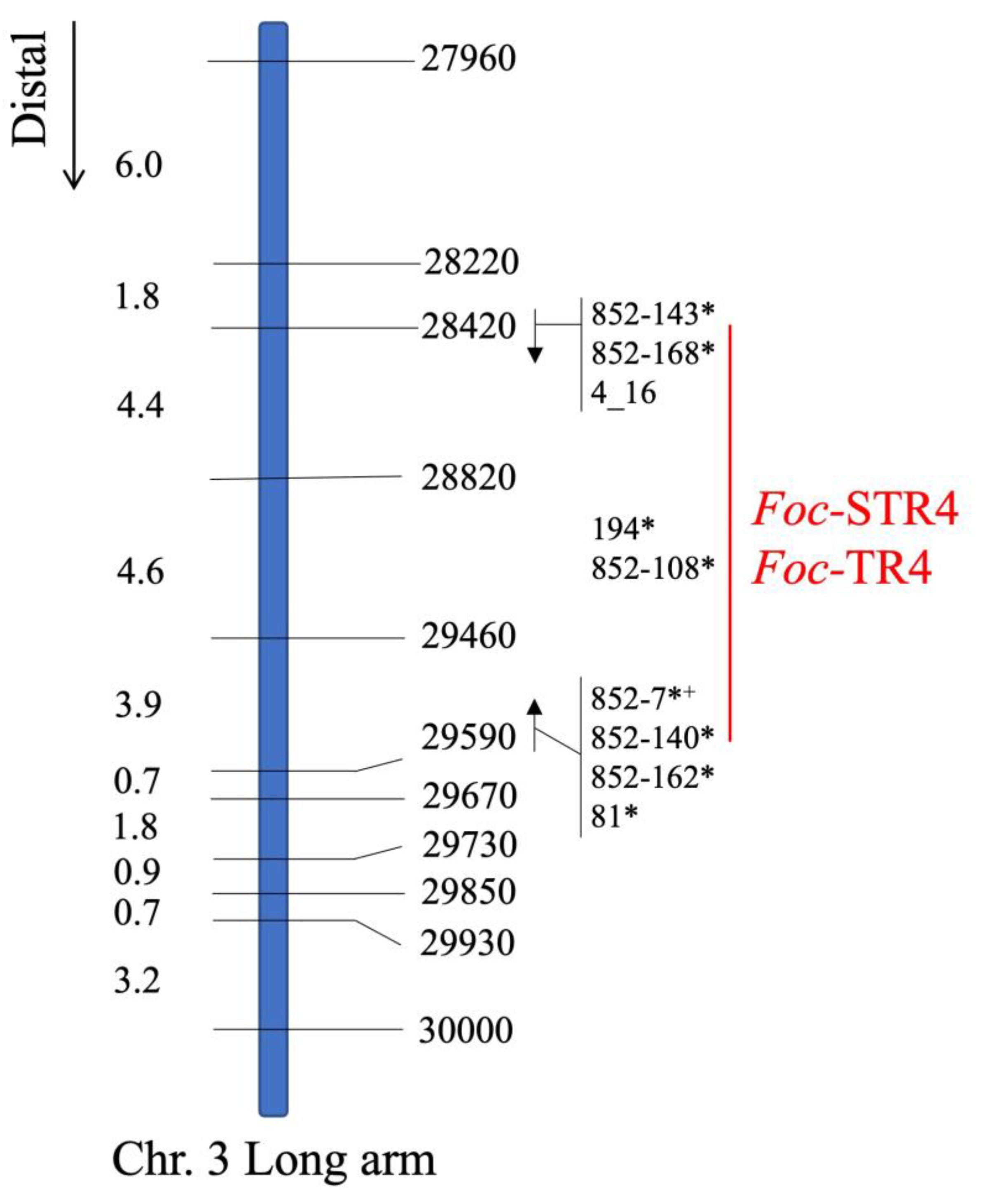 Preprints 72761 g002