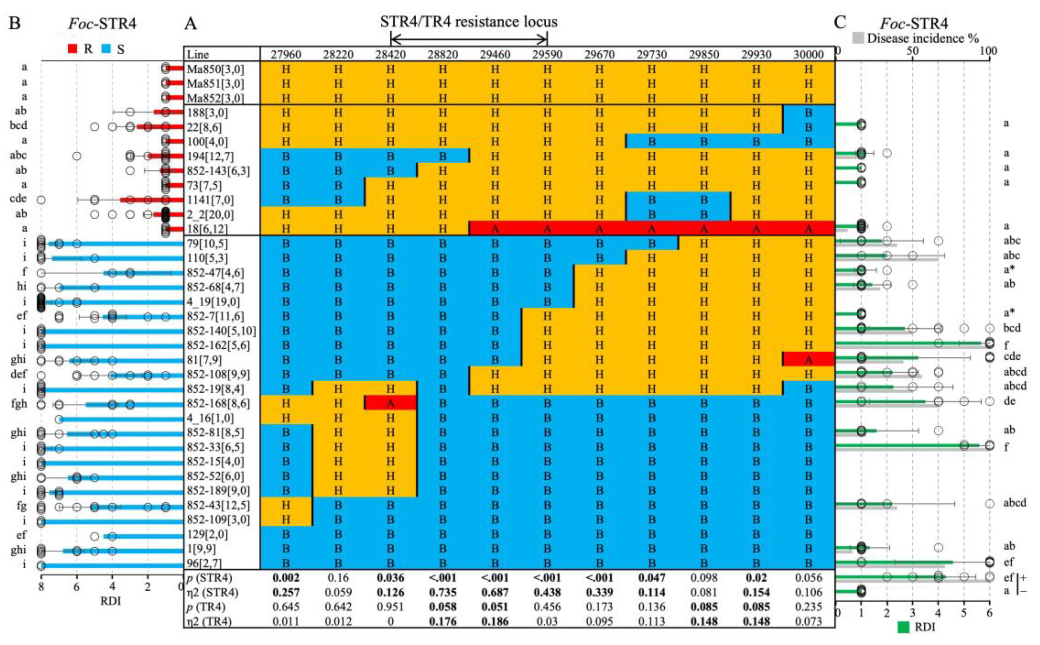 Preprints 72761 g003