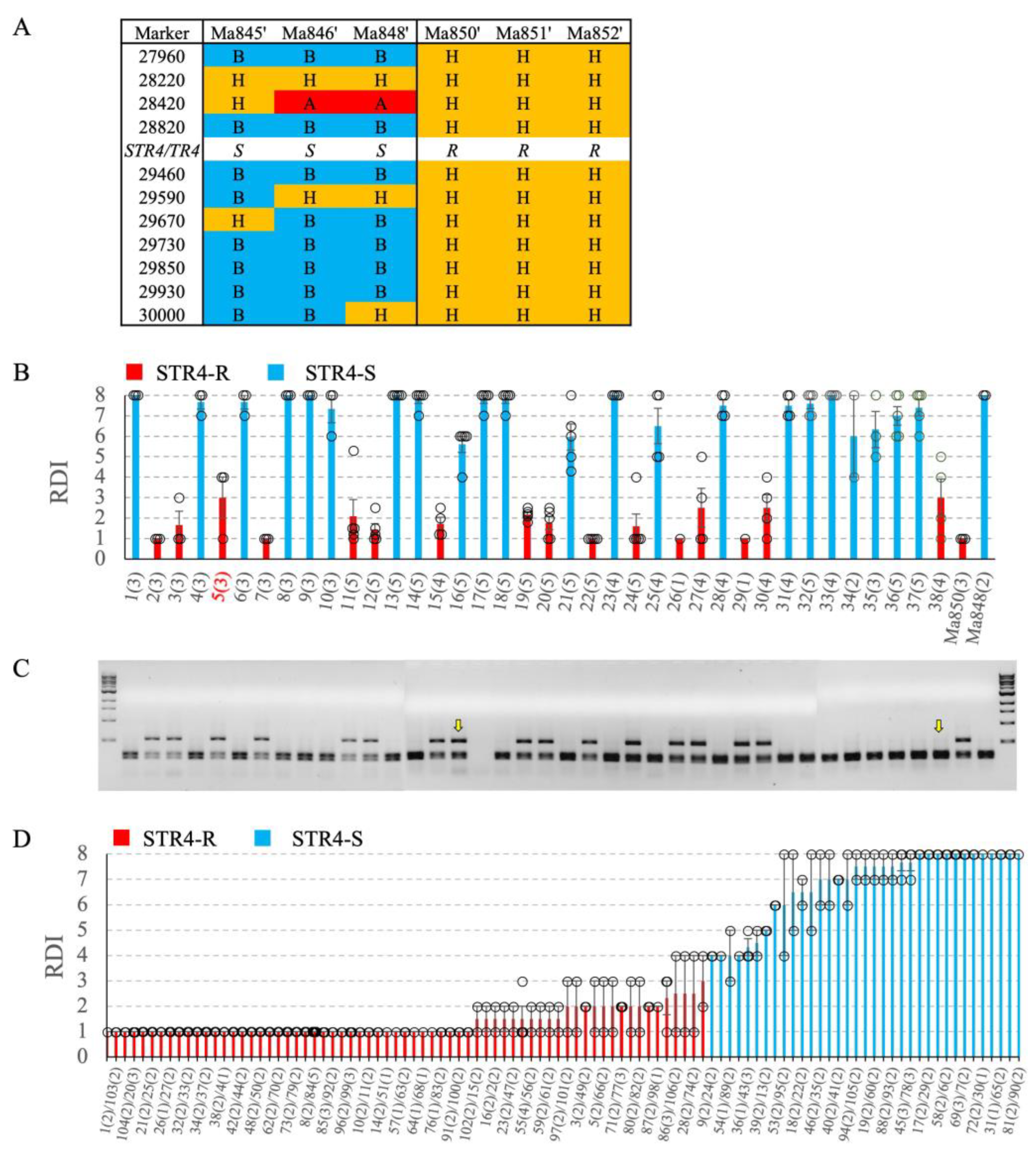 Preprints 72761 g005