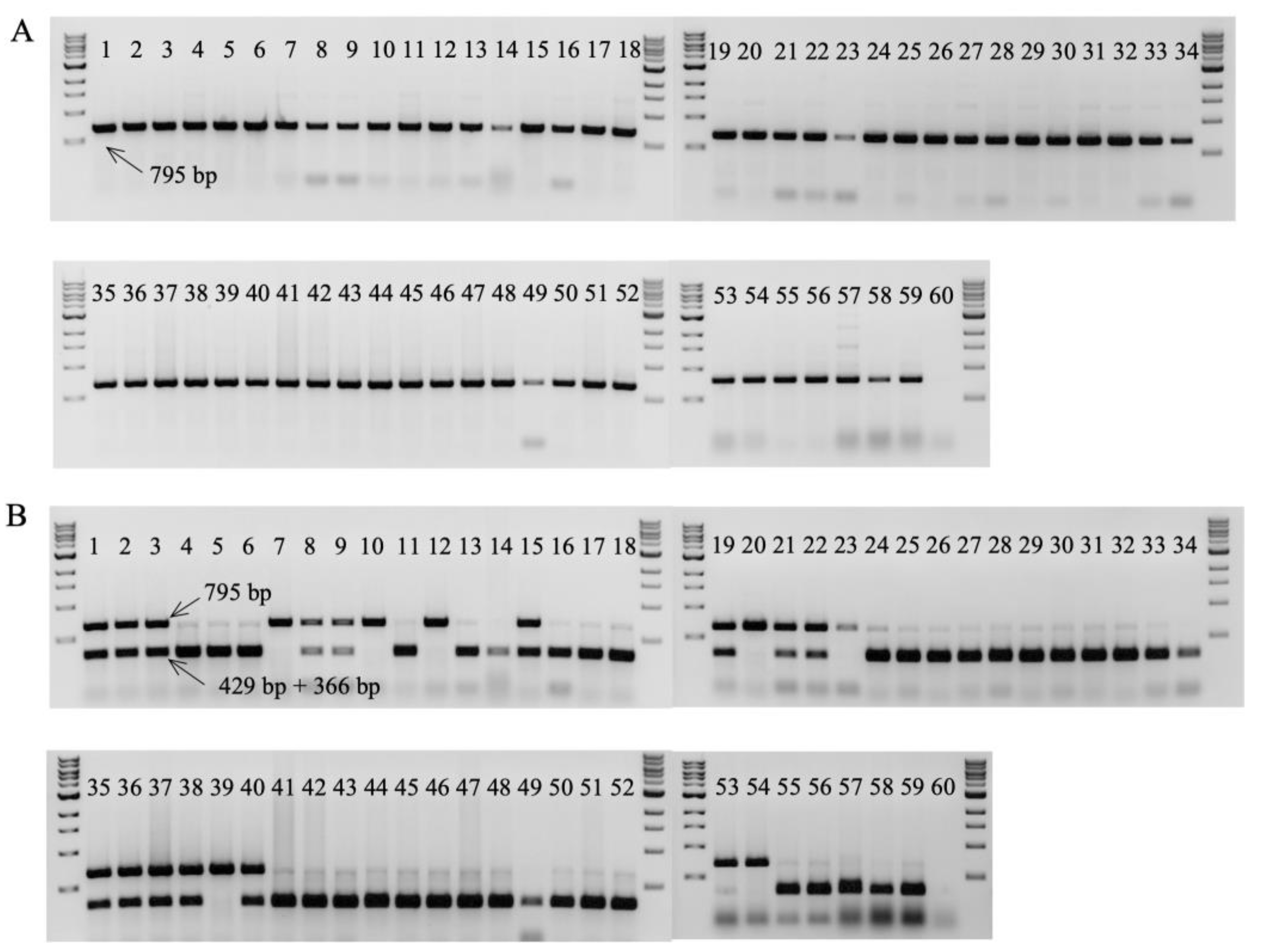 Preprints 72761 g006