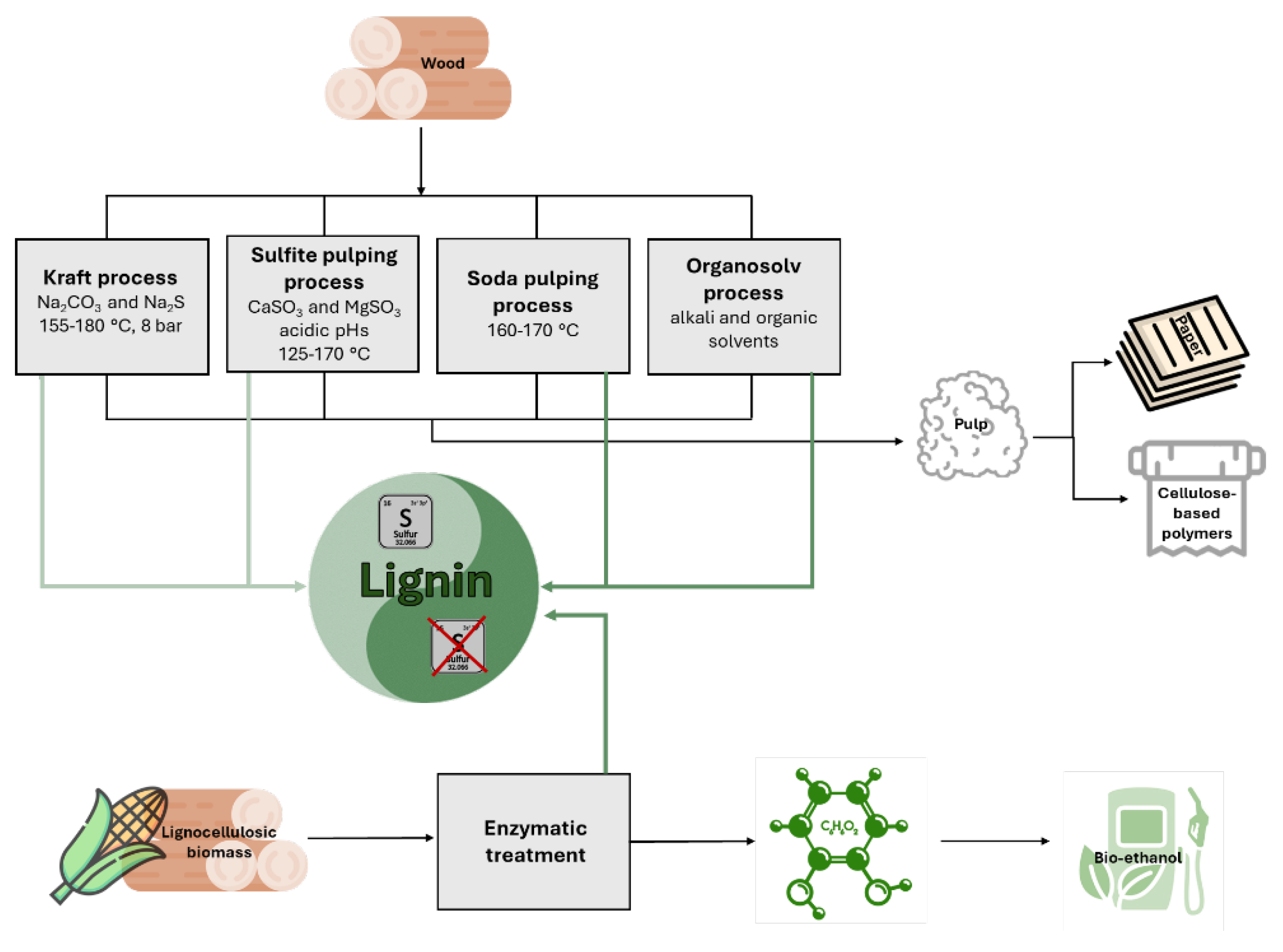 Preprints 119670 g001