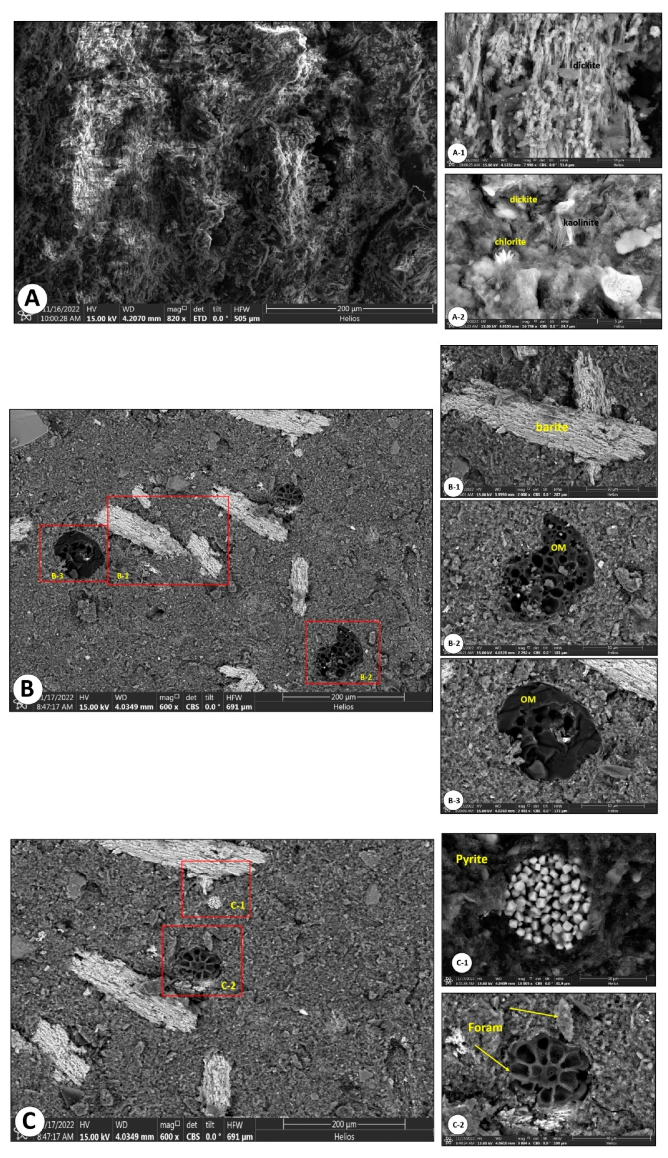 Preprints 91297 g008