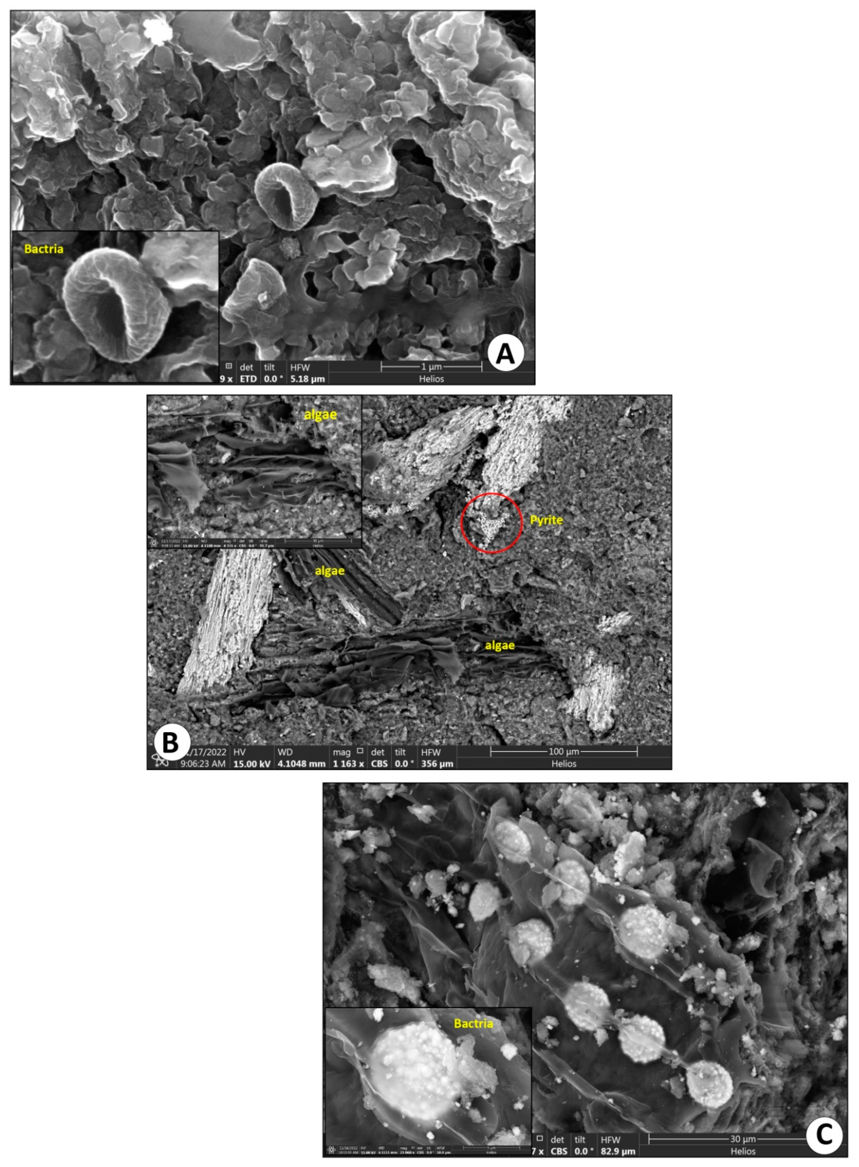 Preprints 91297 g009