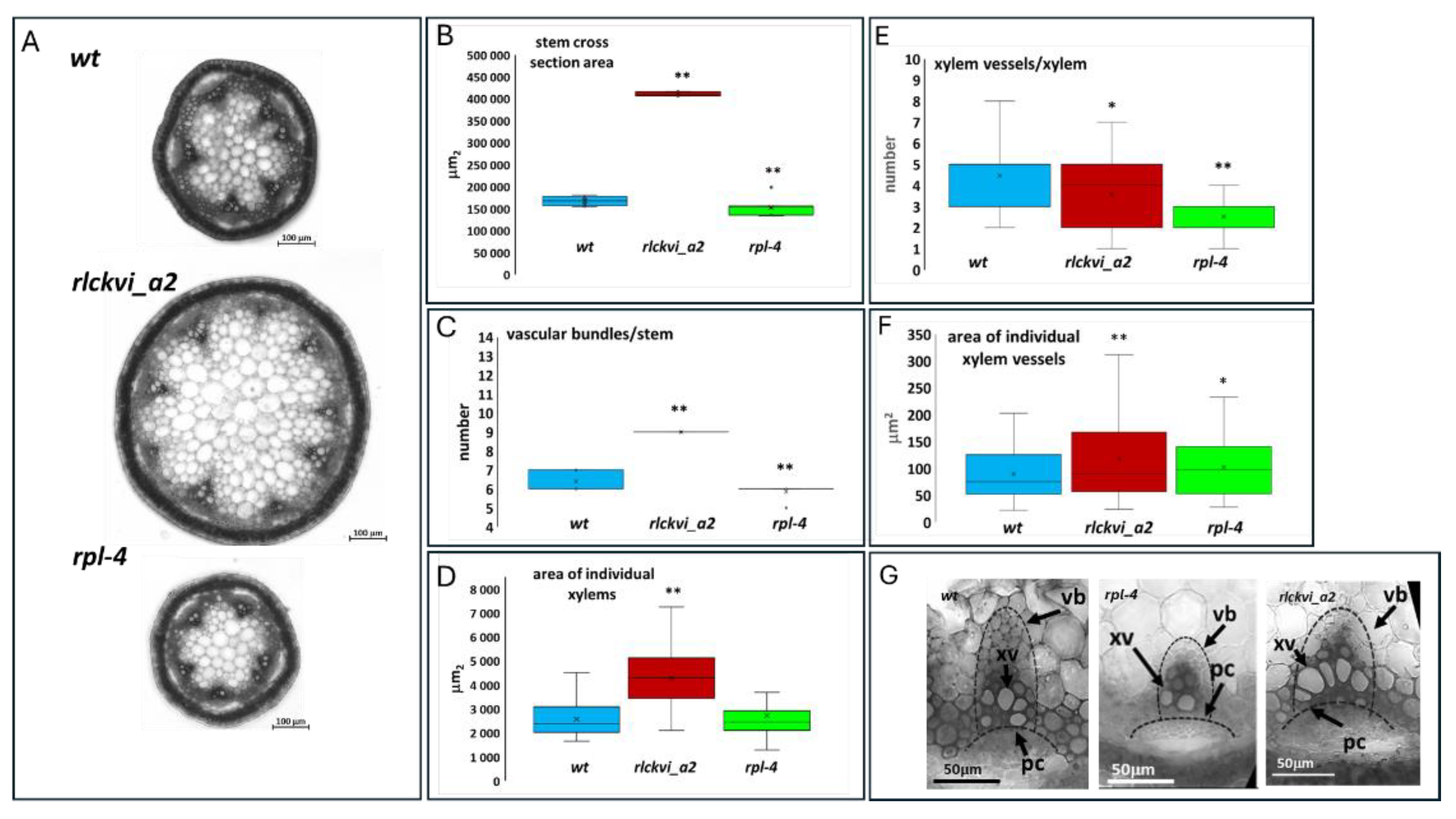 Preprints 111276 g004