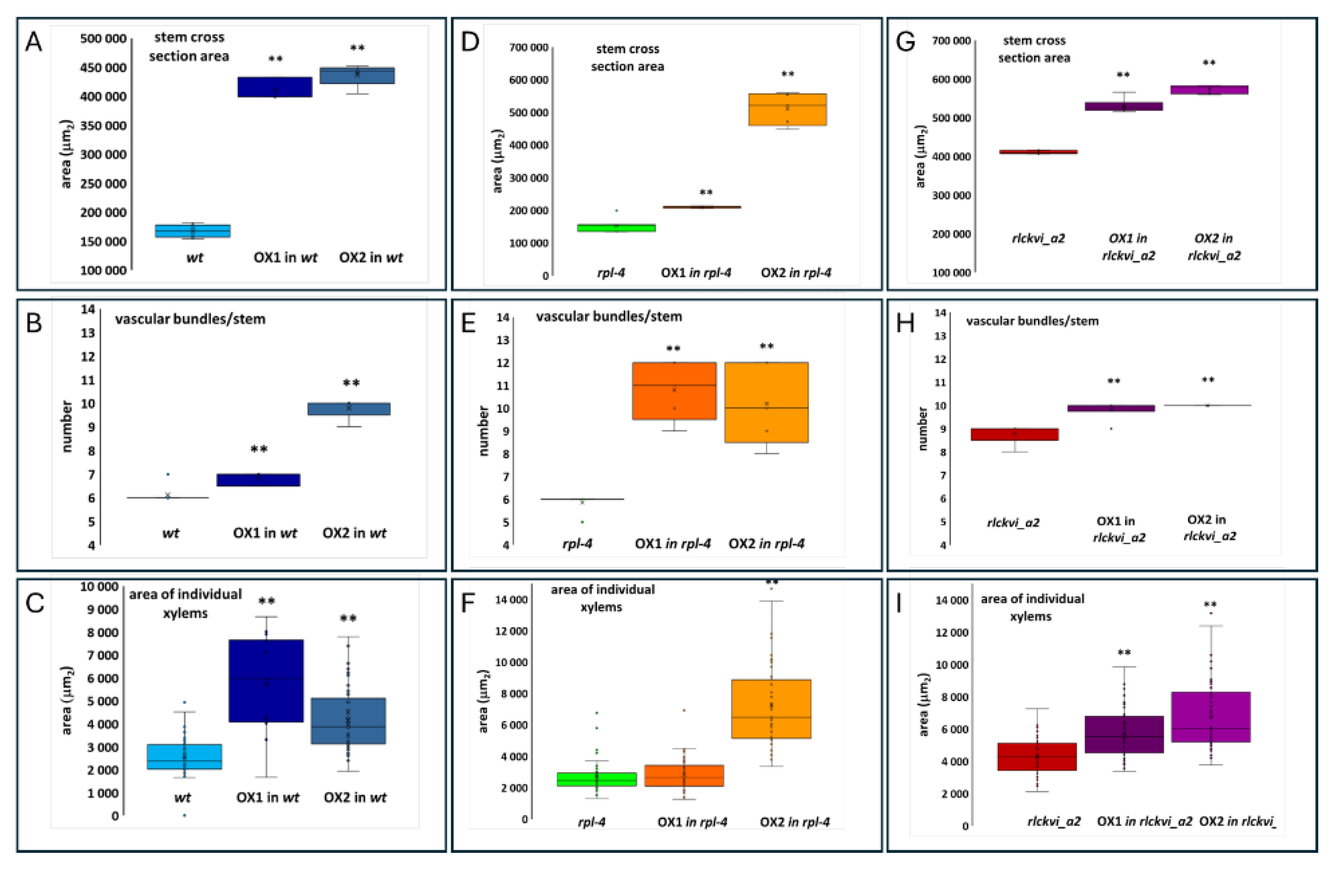 Preprints 111276 g005