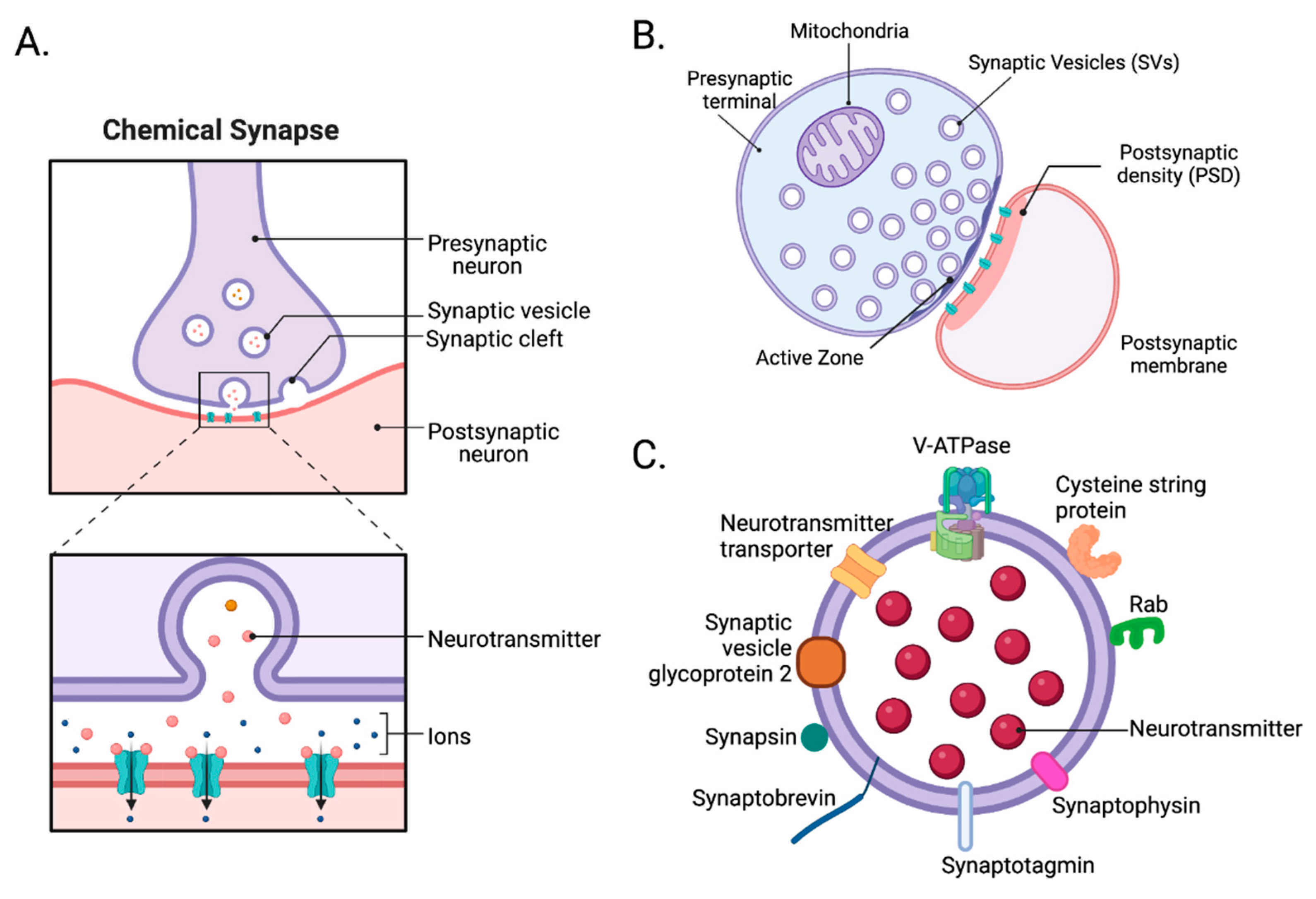 Preprints 76246 g001