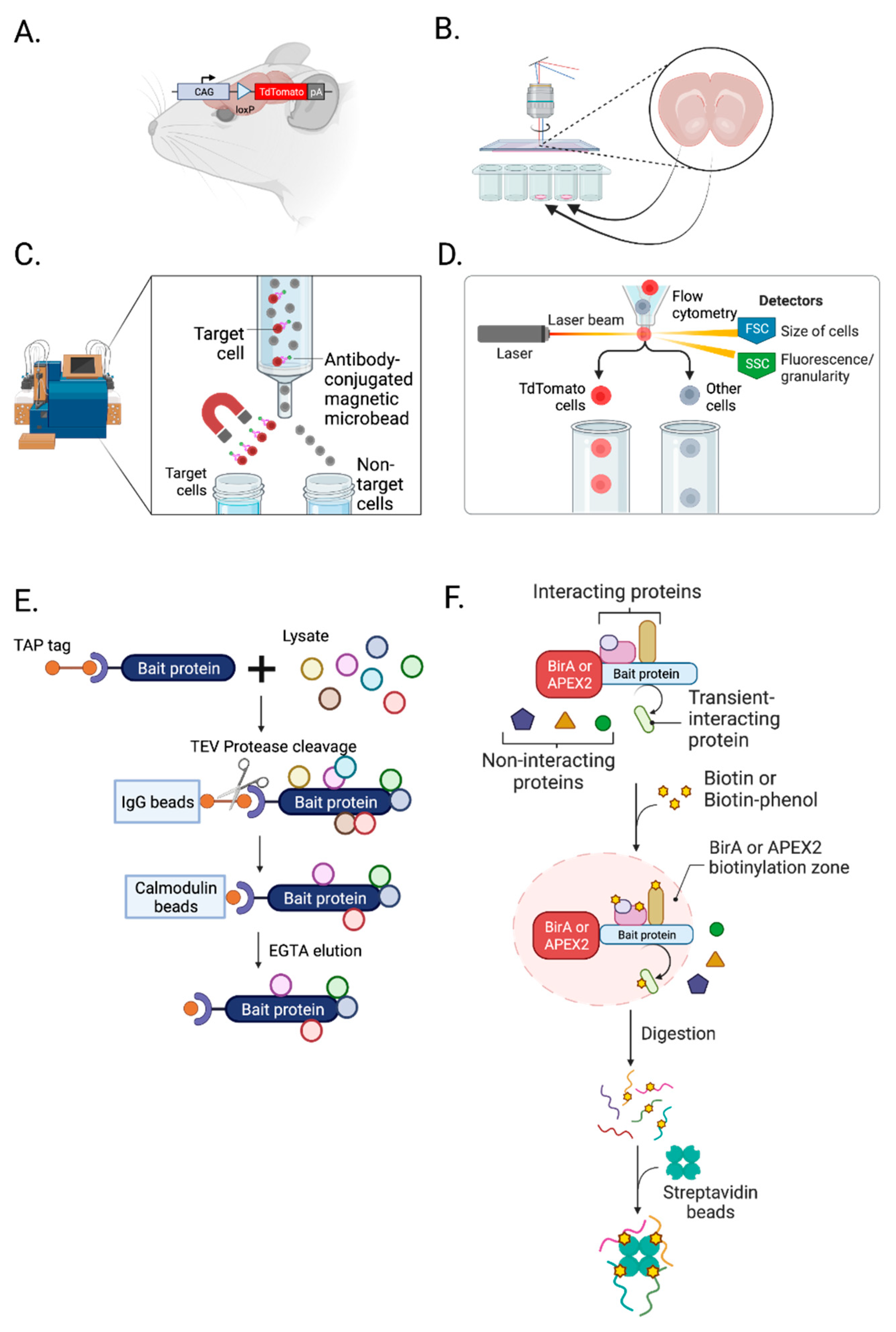 Preprints 76246 g002