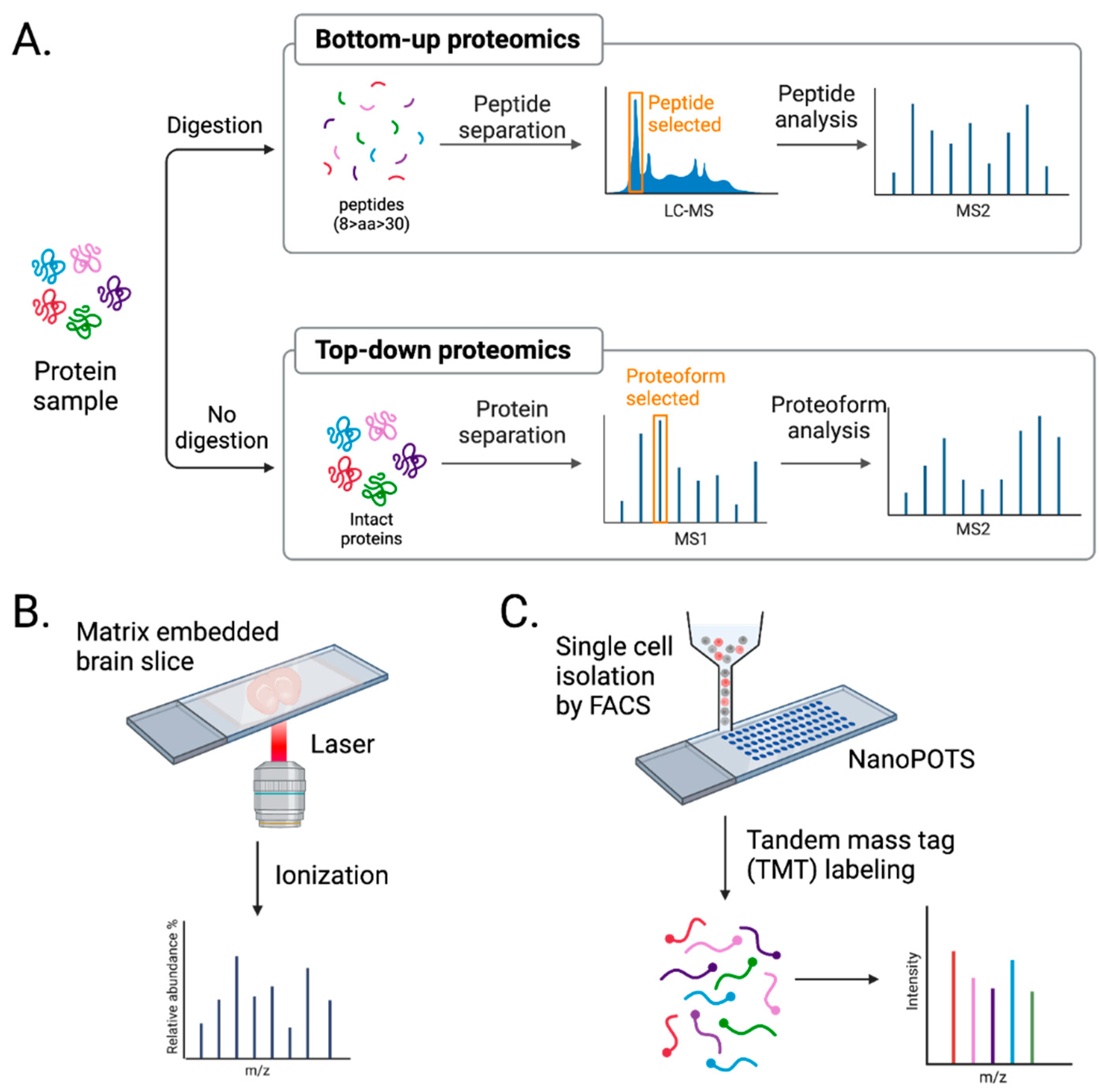 Preprints 76246 g003