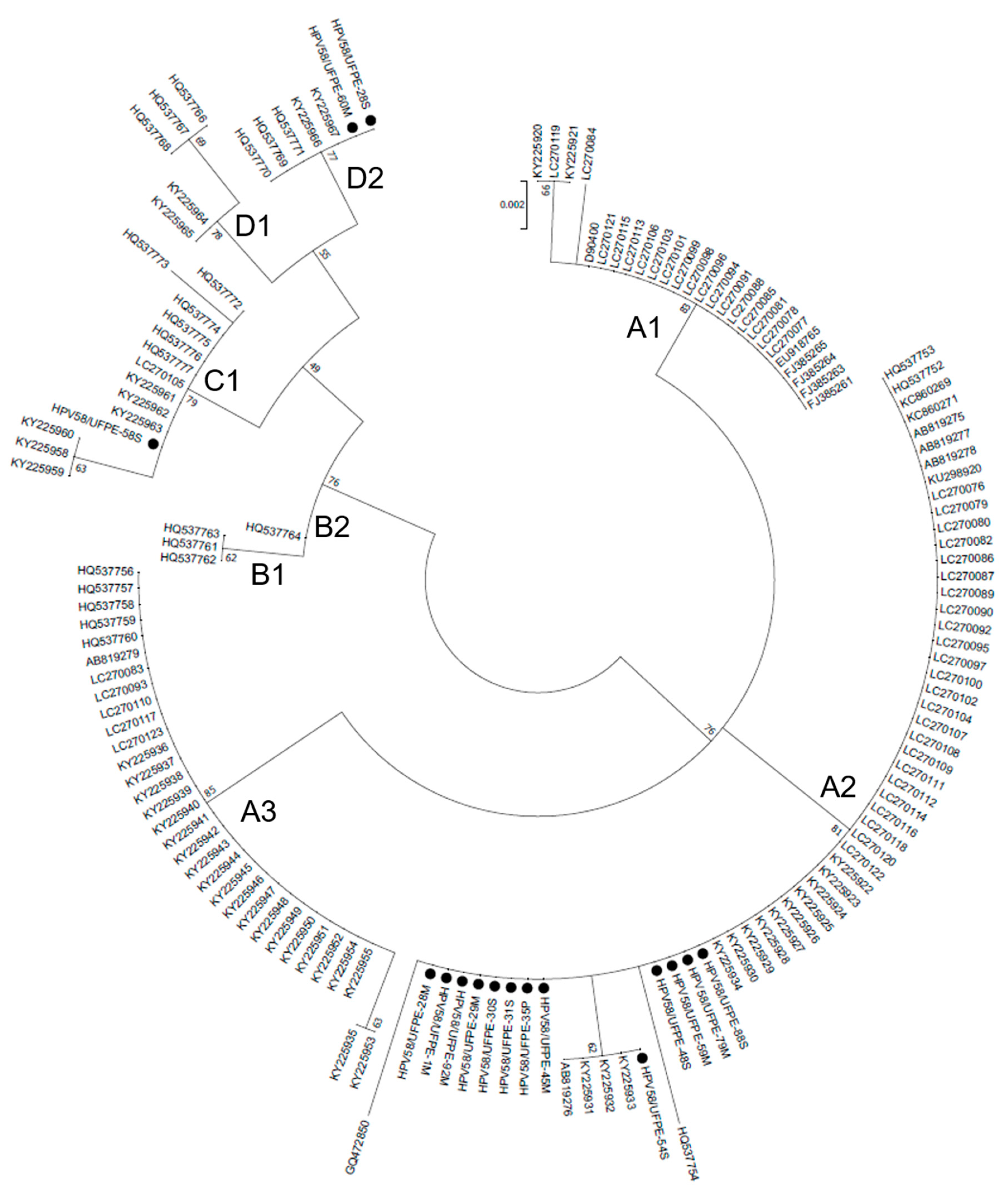 Preprints 76808 g001