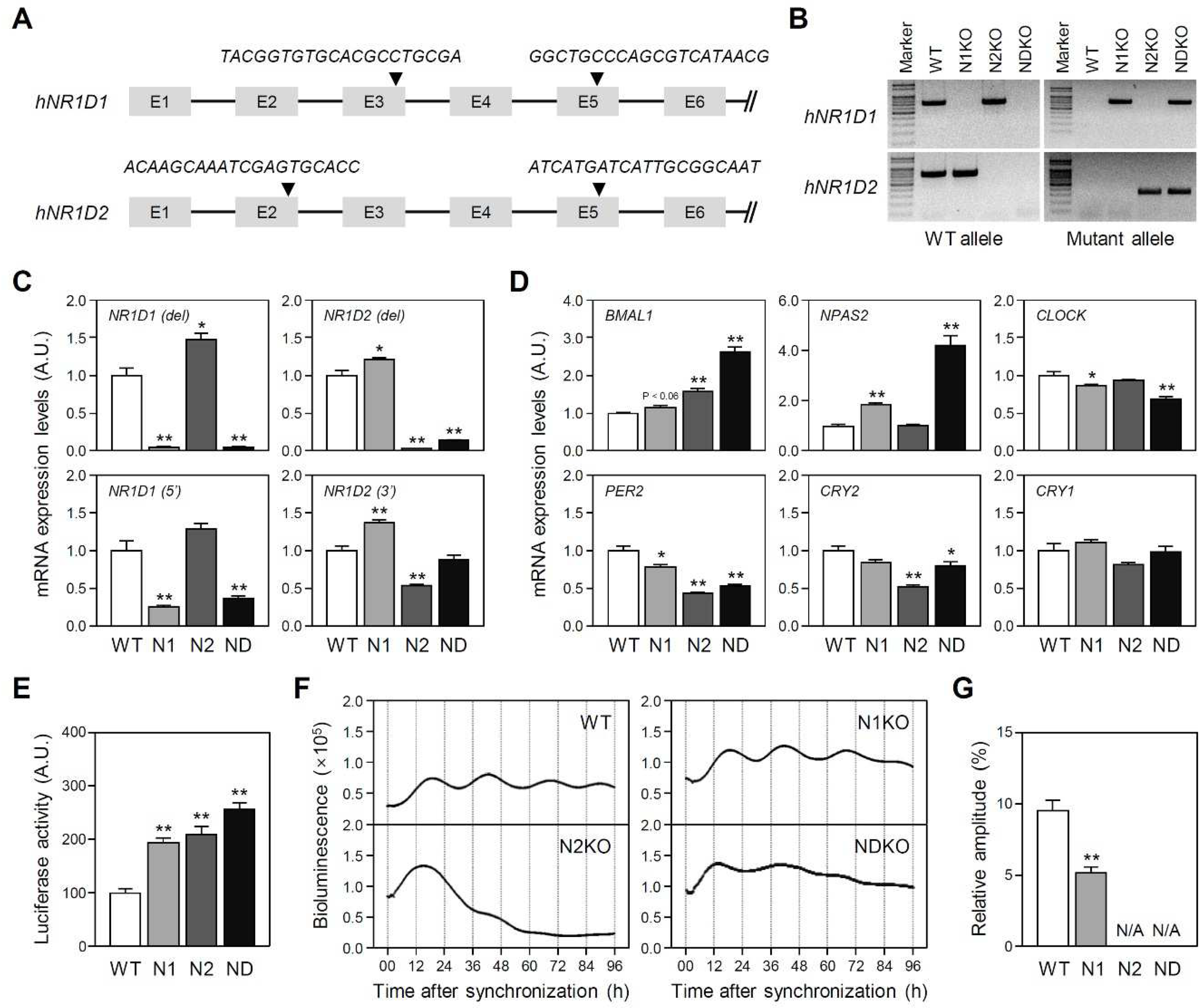 Preprints 92482 g001