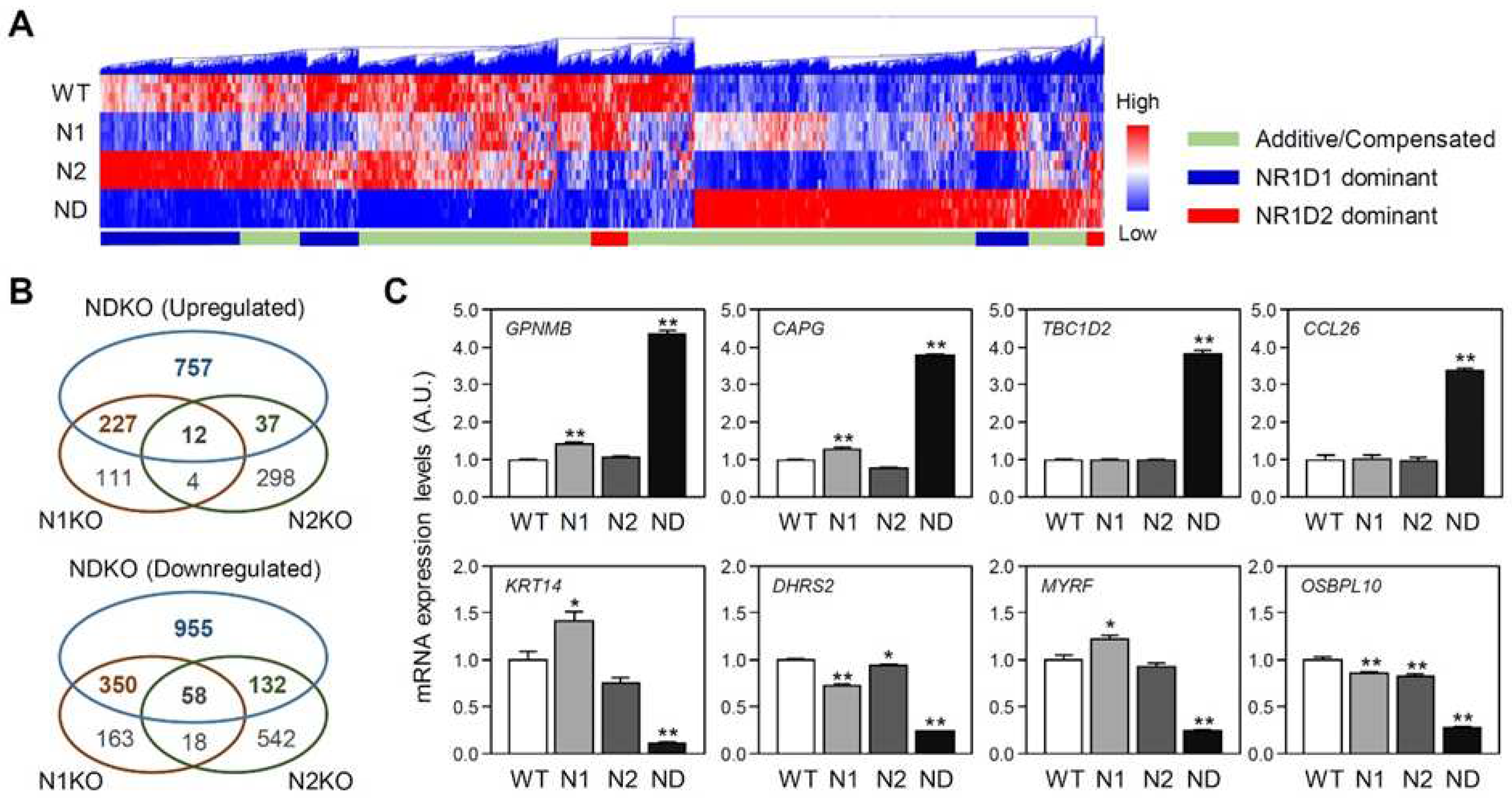 Preprints 92482 g003