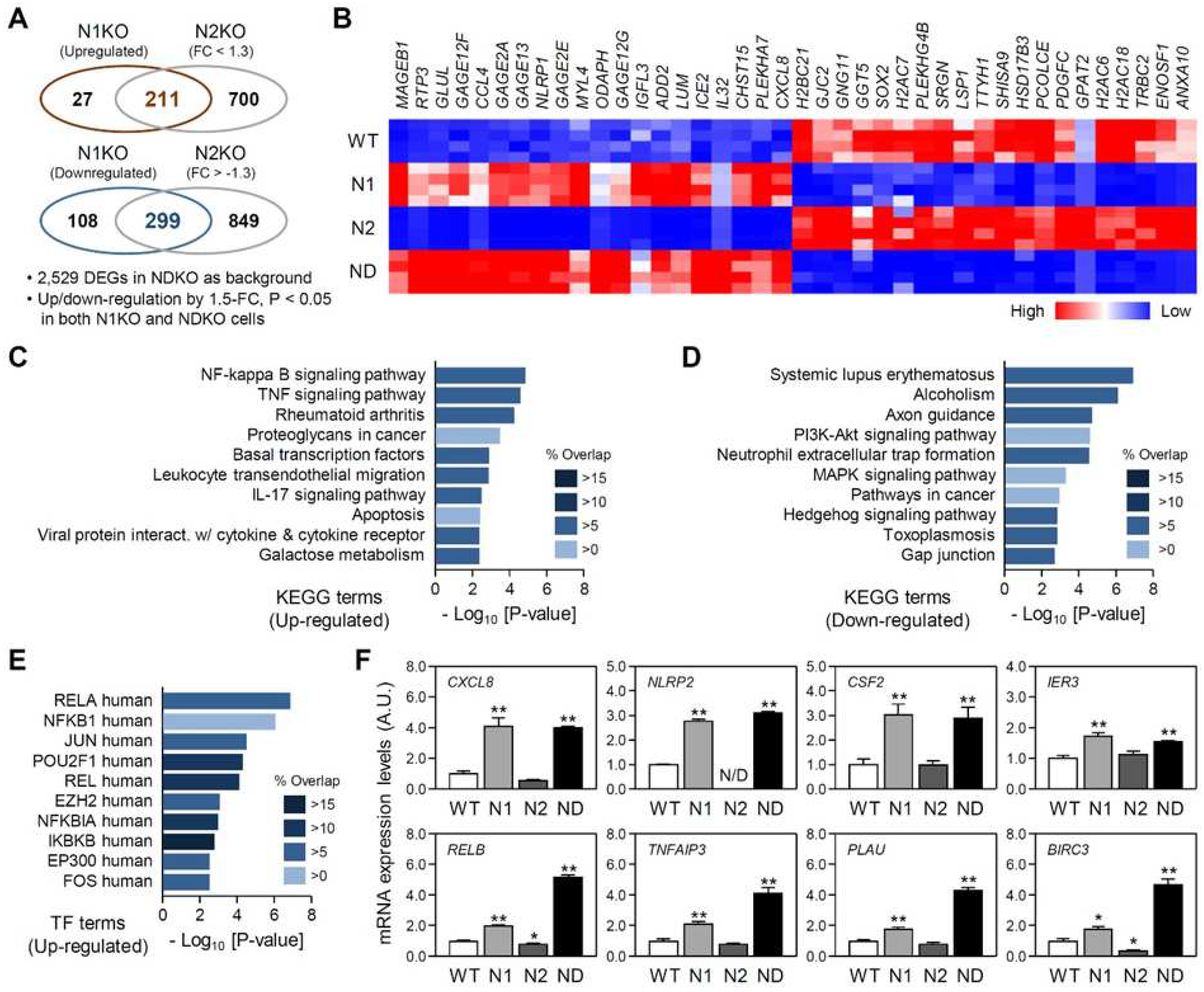 Preprints 92482 g004