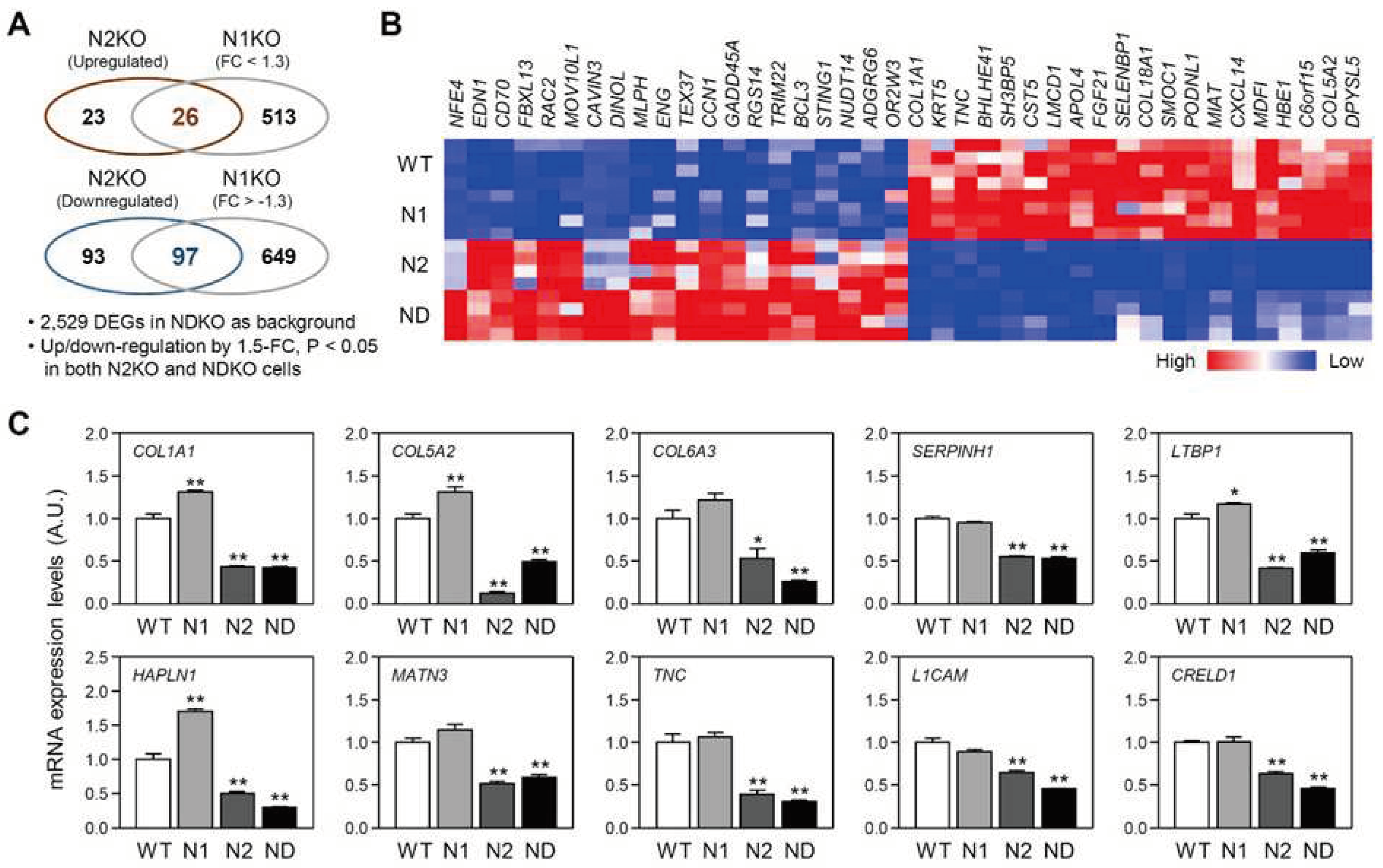 Preprints 92482 g005