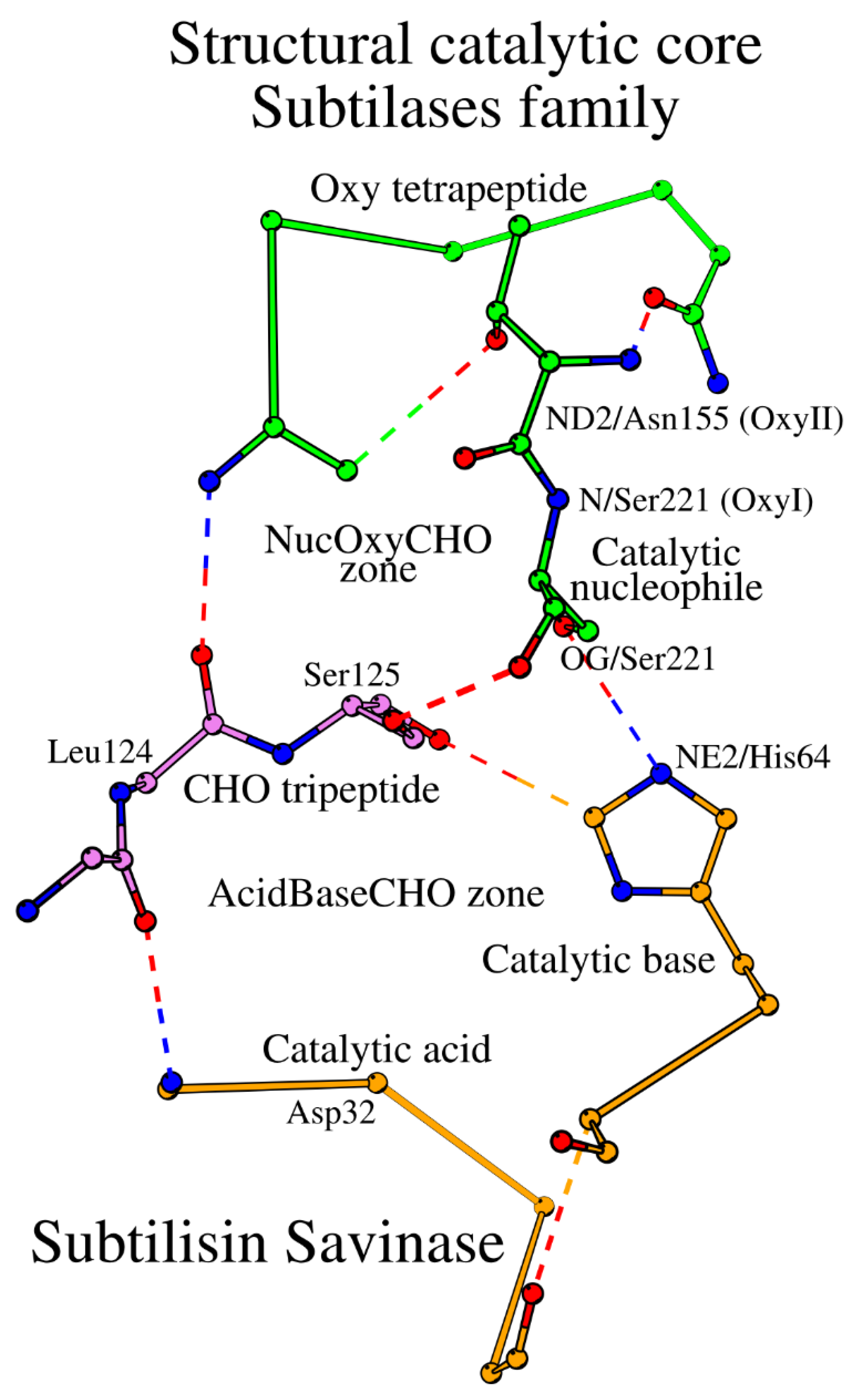 Preprints 120512 g002