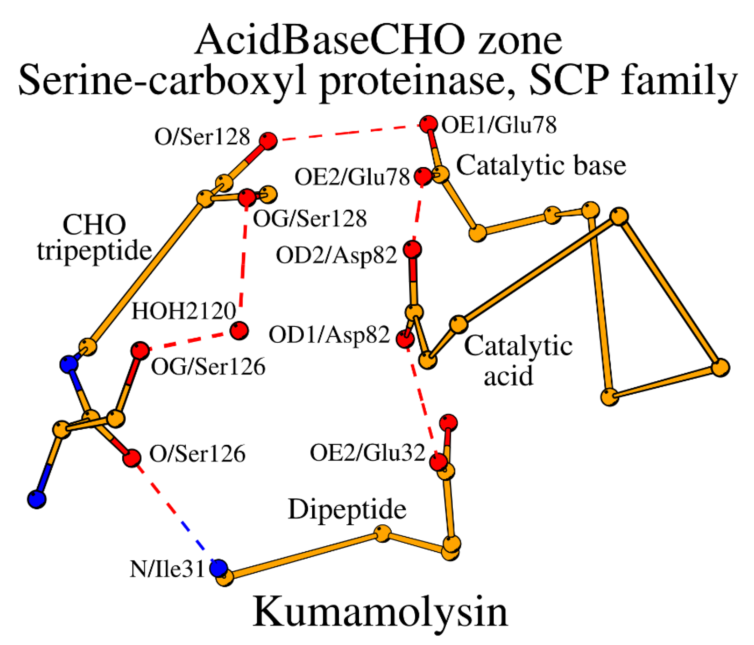 Preprints 120512 g004