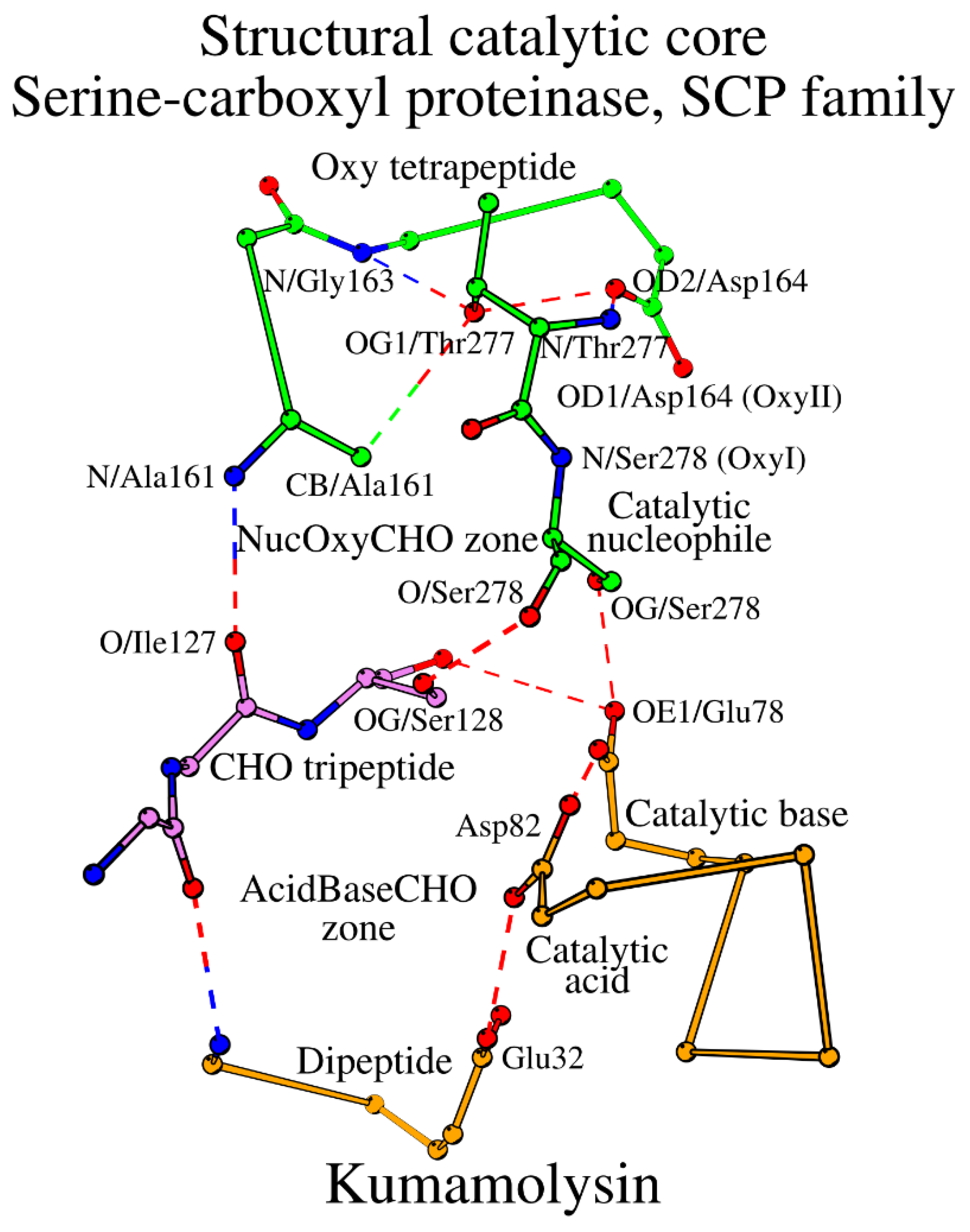 Preprints 120512 g005