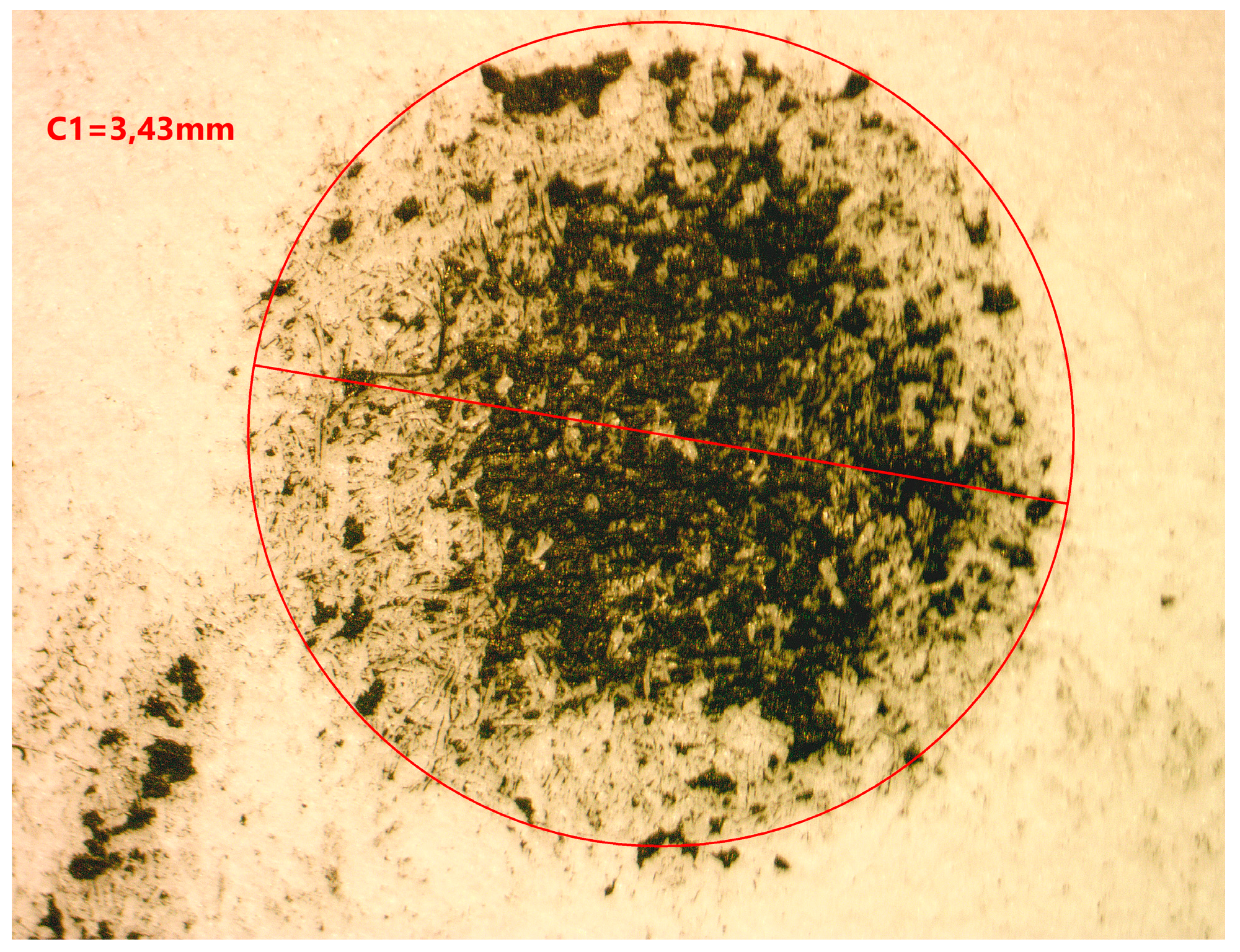 Preprints 91907 g006