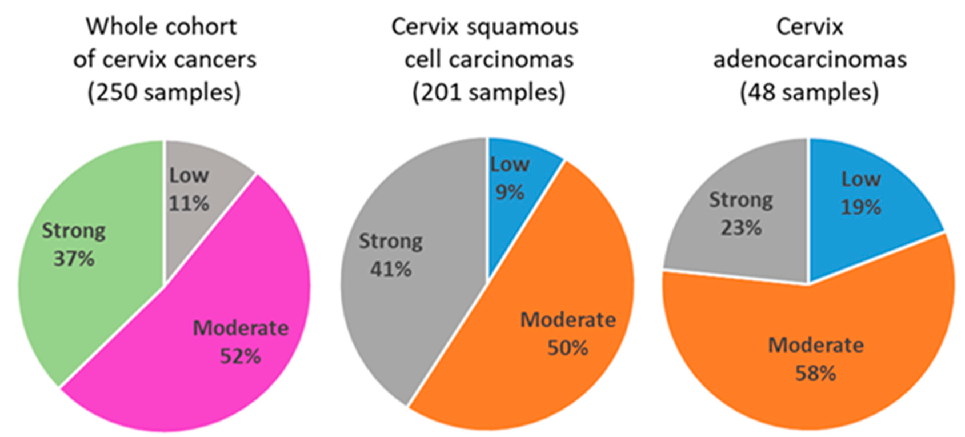 Preprints 80423 g001