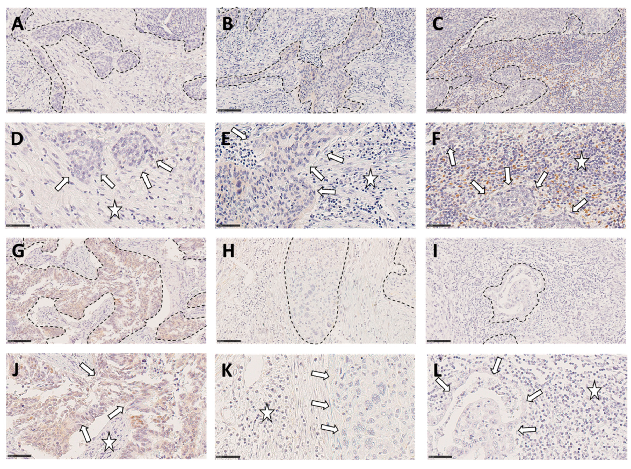 Preprints 80423 g003