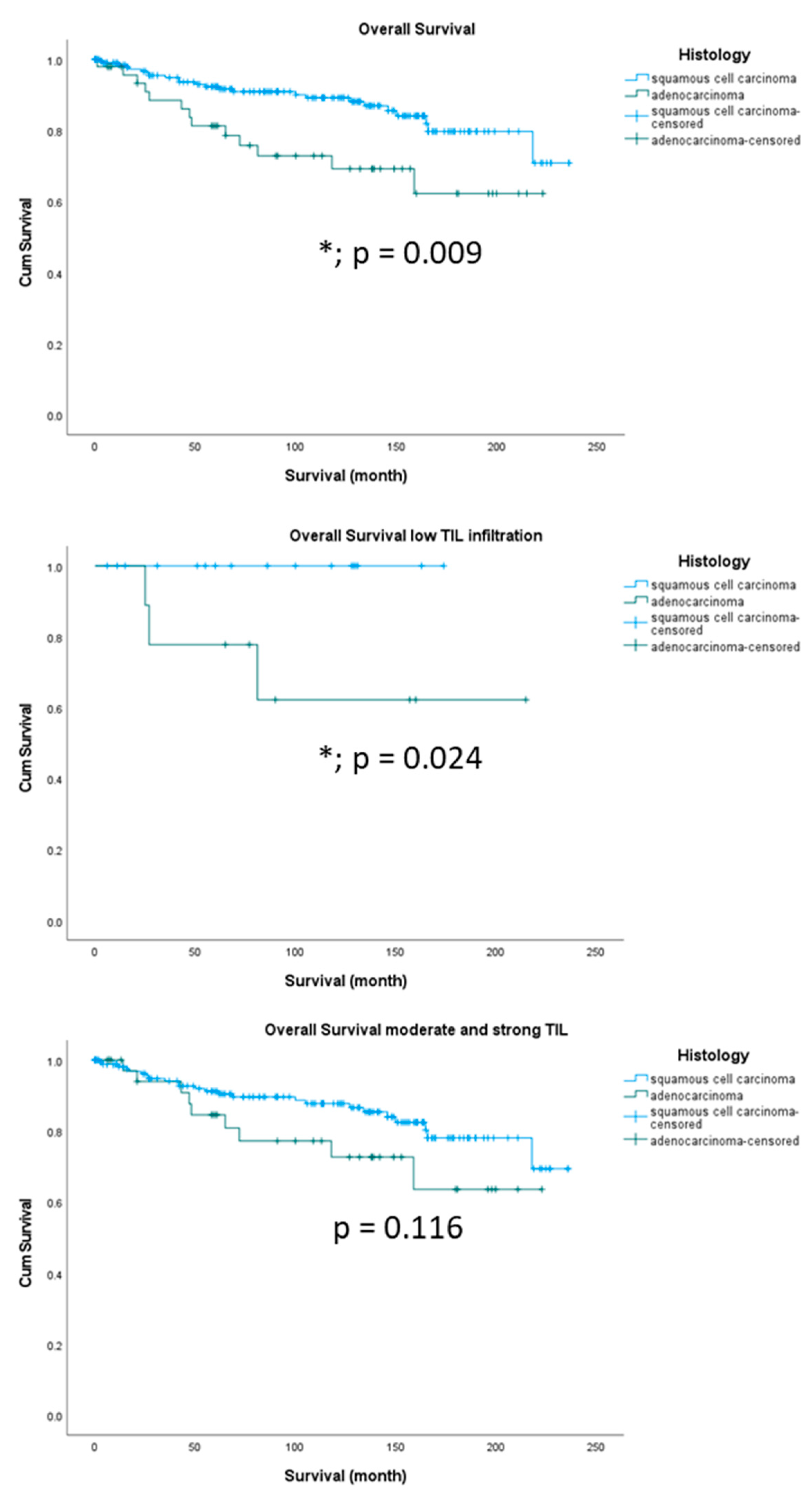 Preprints 80423 g004