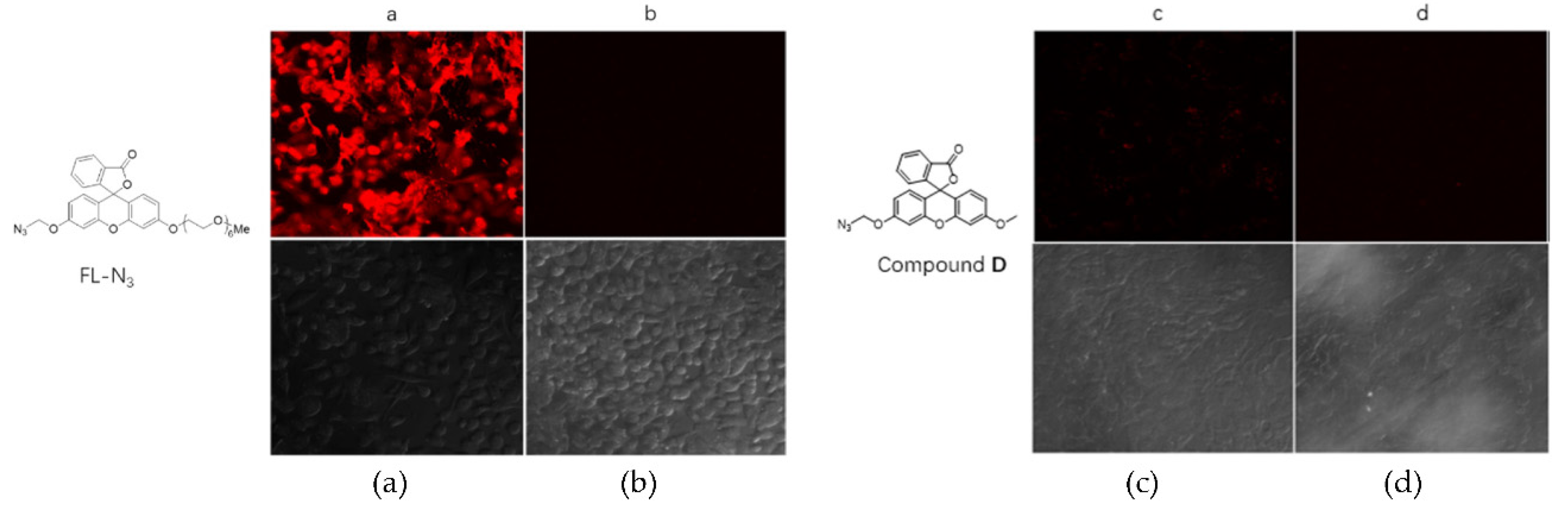 Preprints 78518 g004