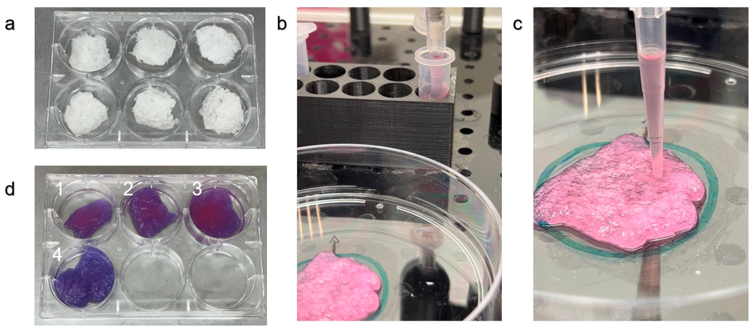 Preprints 110339 g002