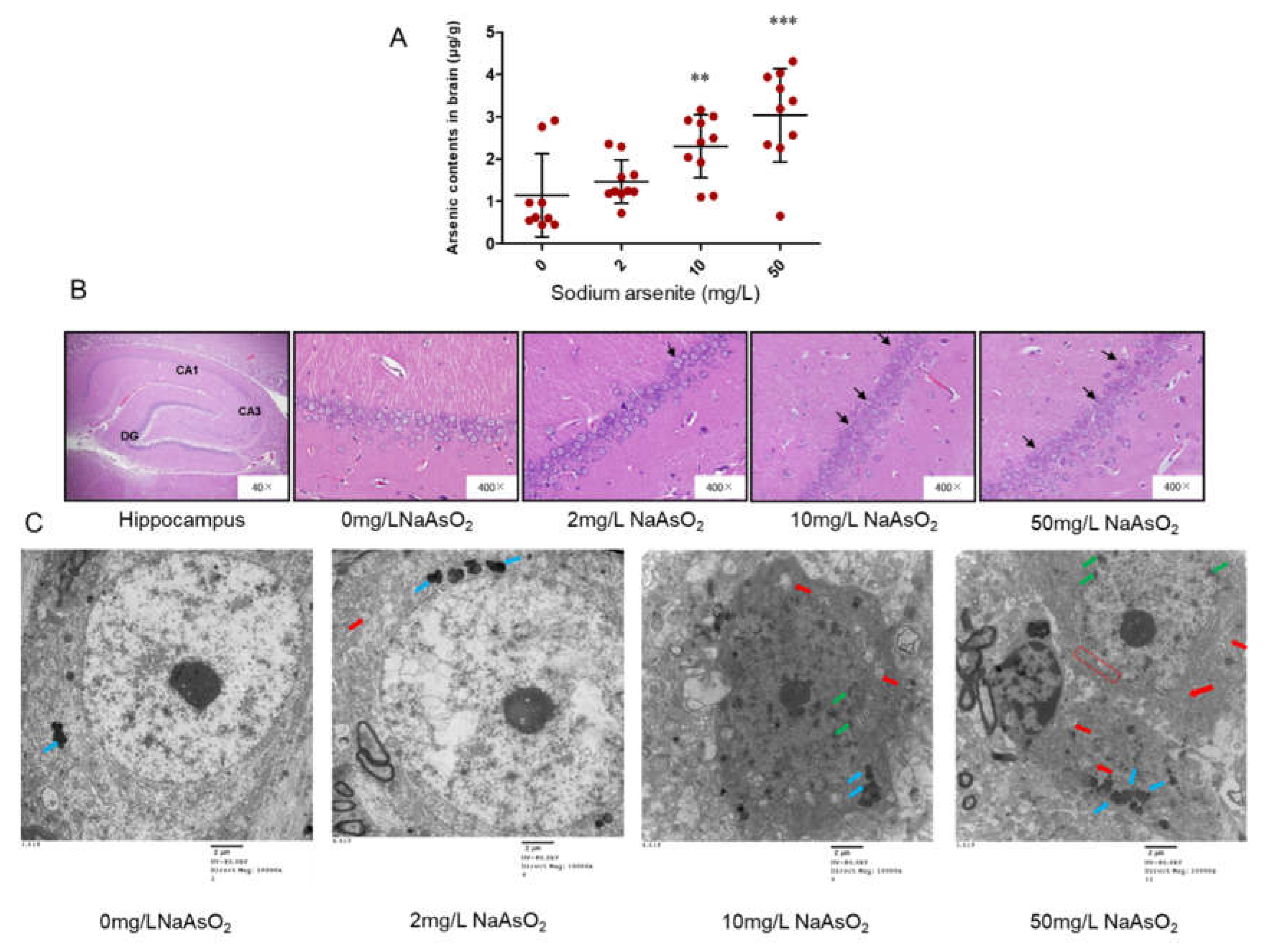 Preprints 74720 g001