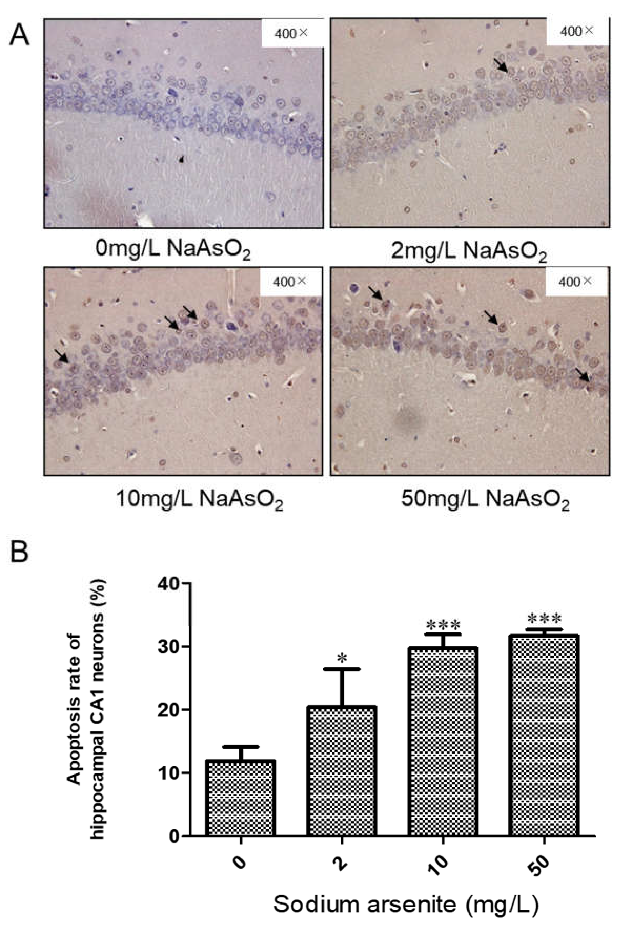 Preprints 74720 g002