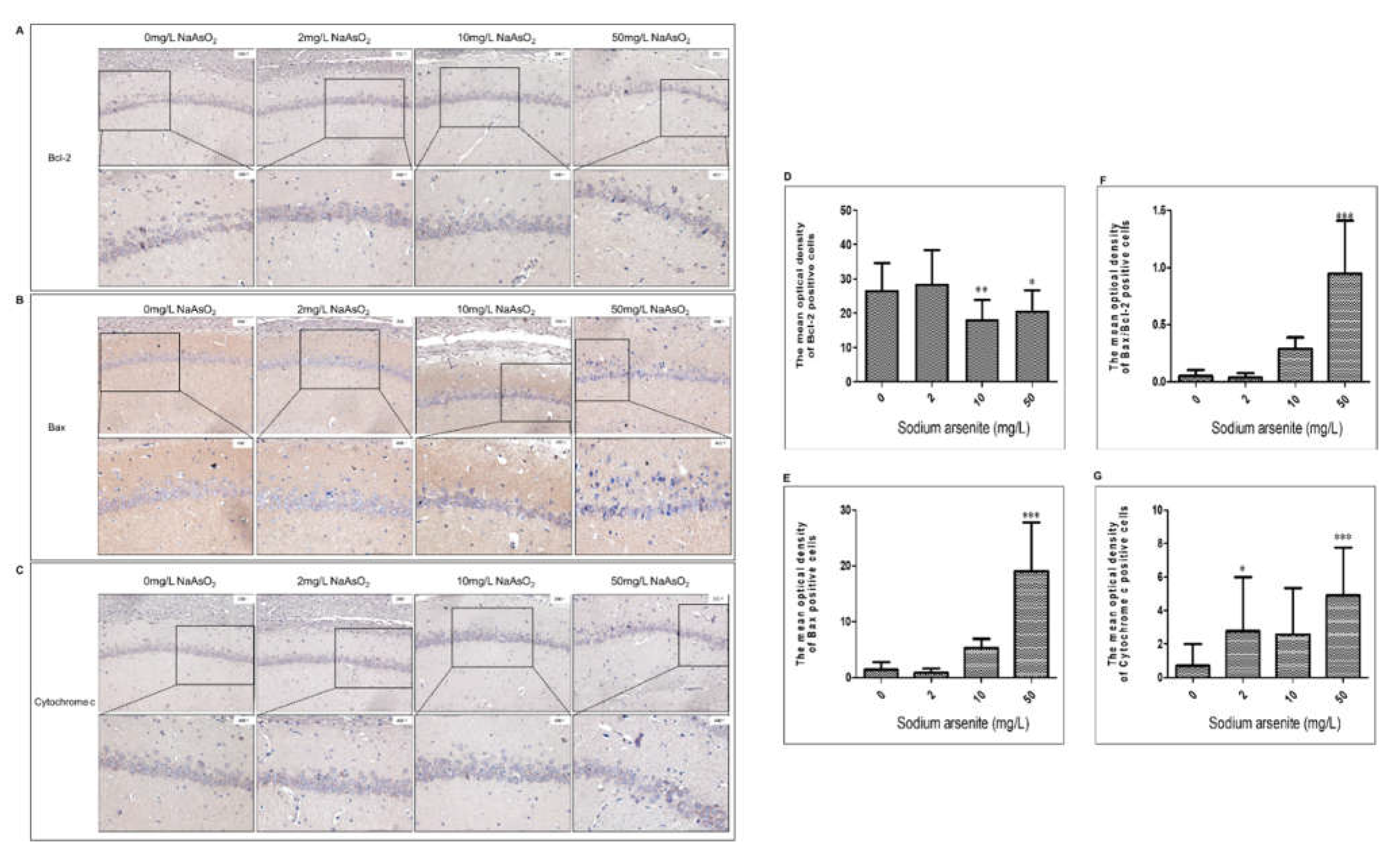 Preprints 74720 g003