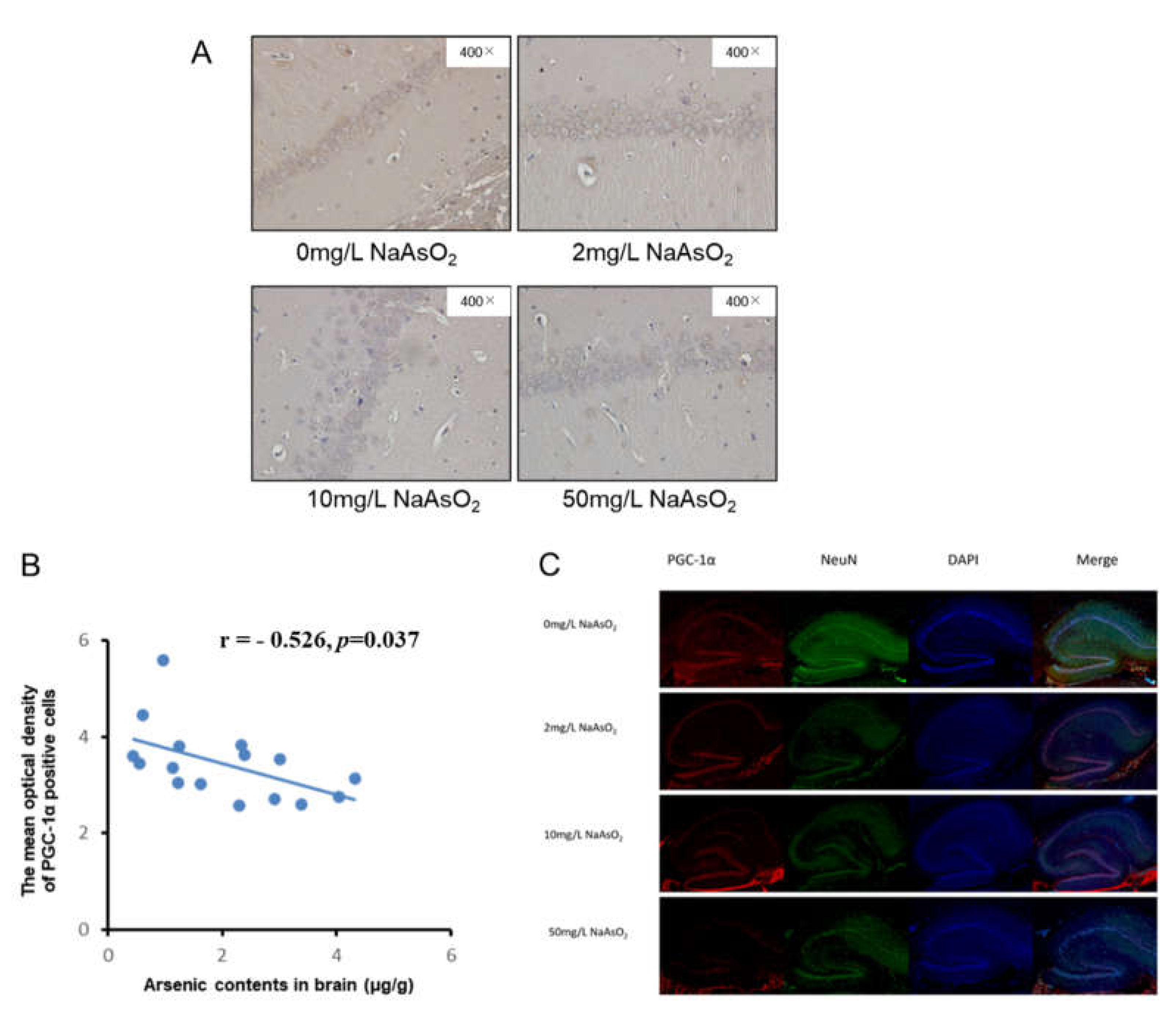 Preprints 74720 g004