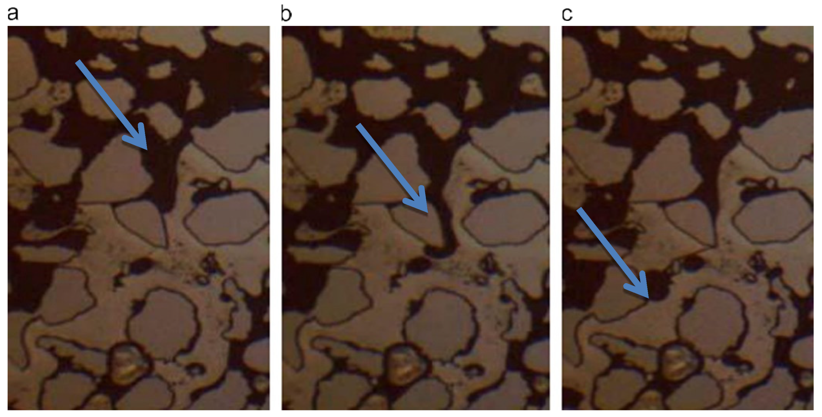 Preprints 121755 g017