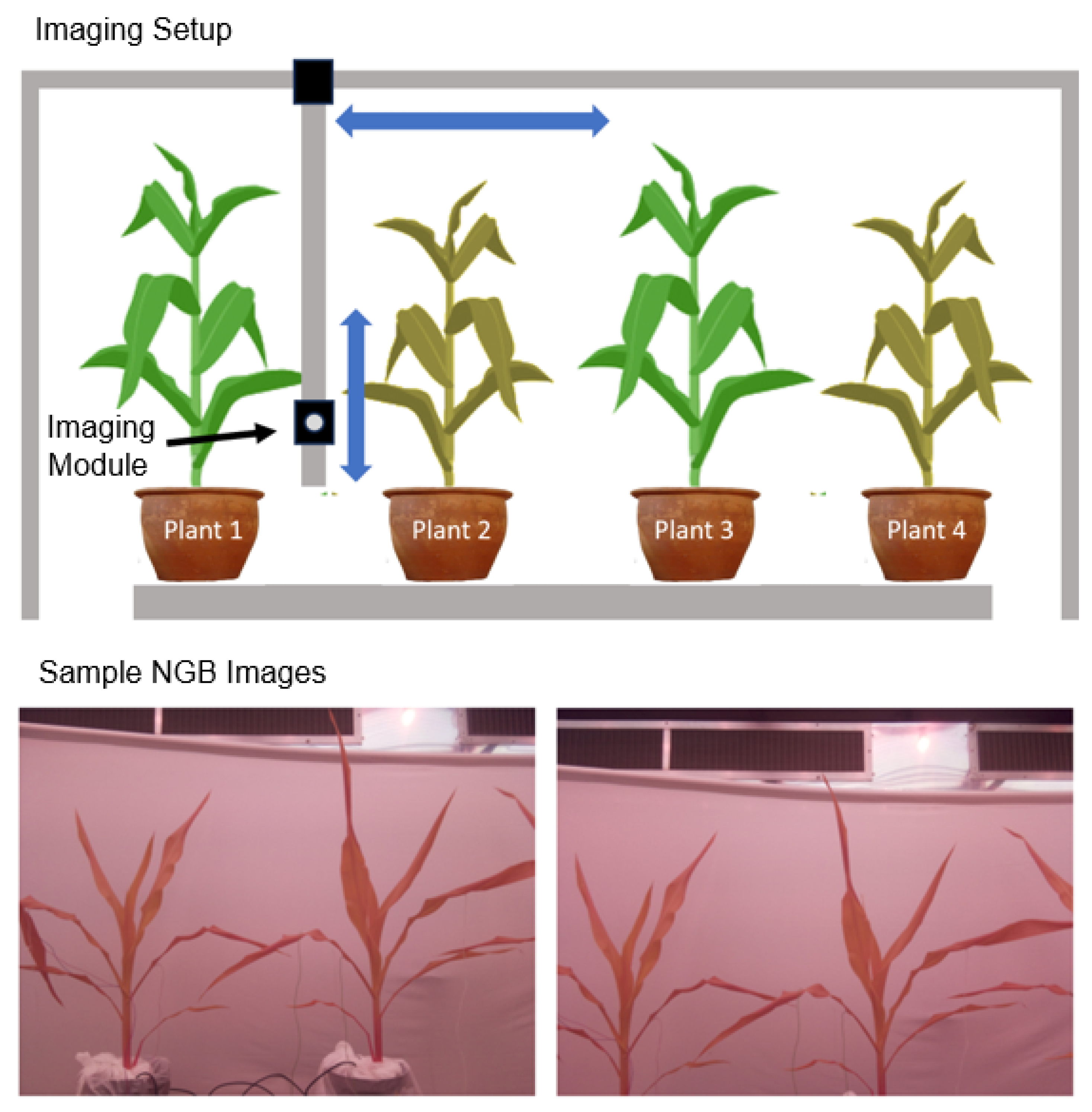 Preprints 105103 g001