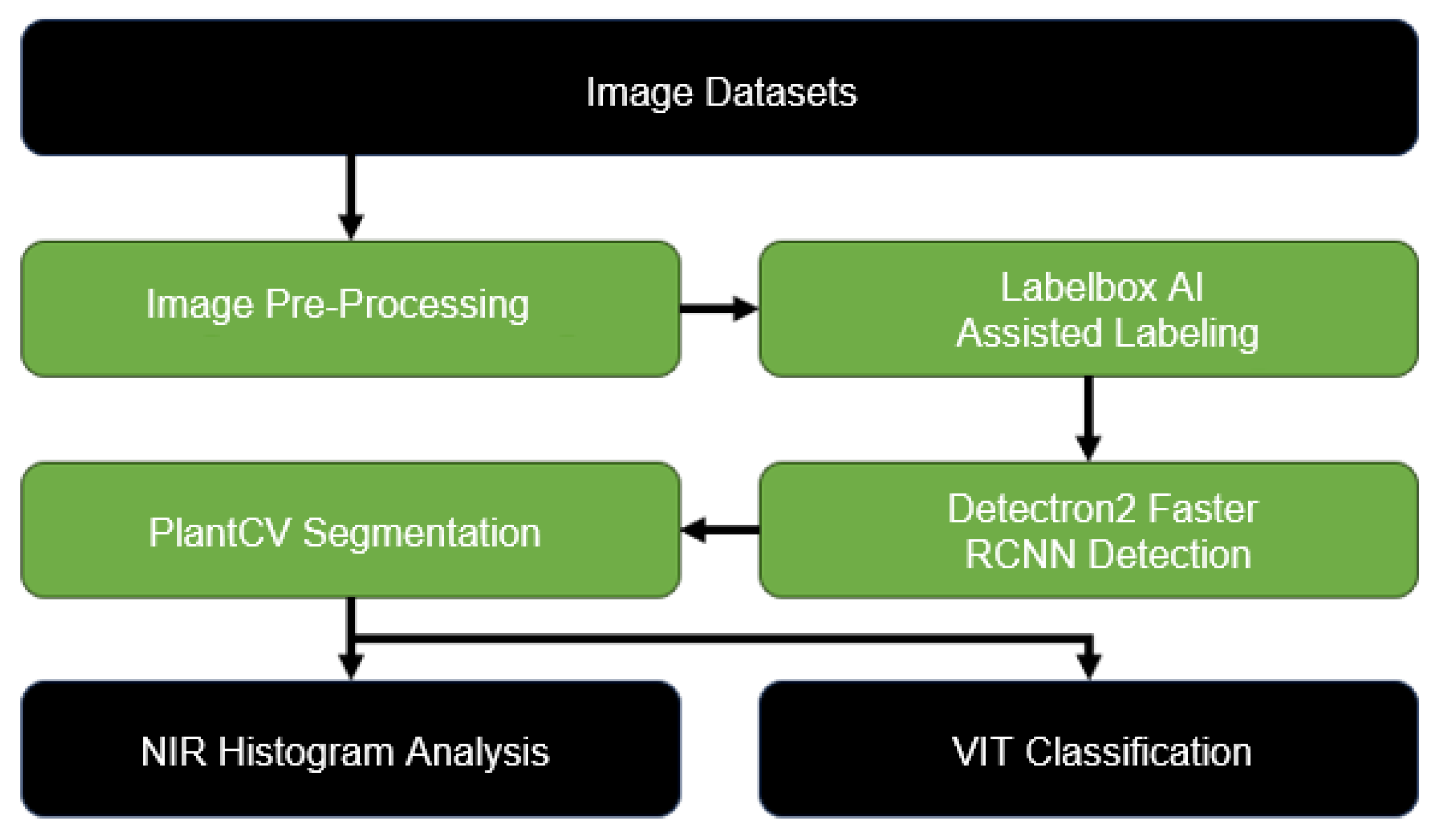 Preprints 105103 g002