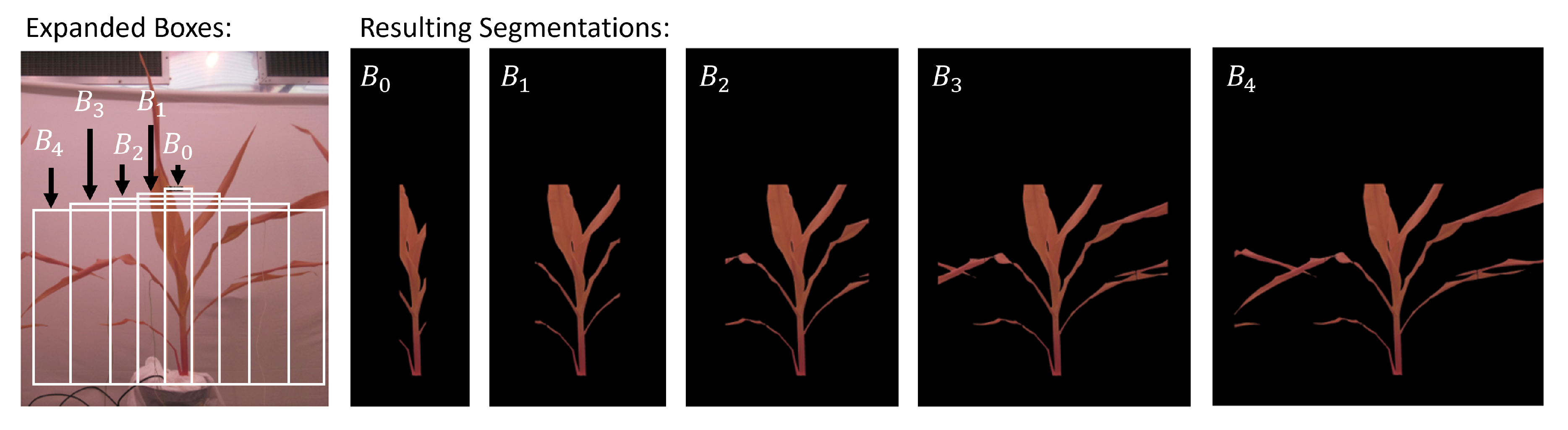 Preprints 105103 g004