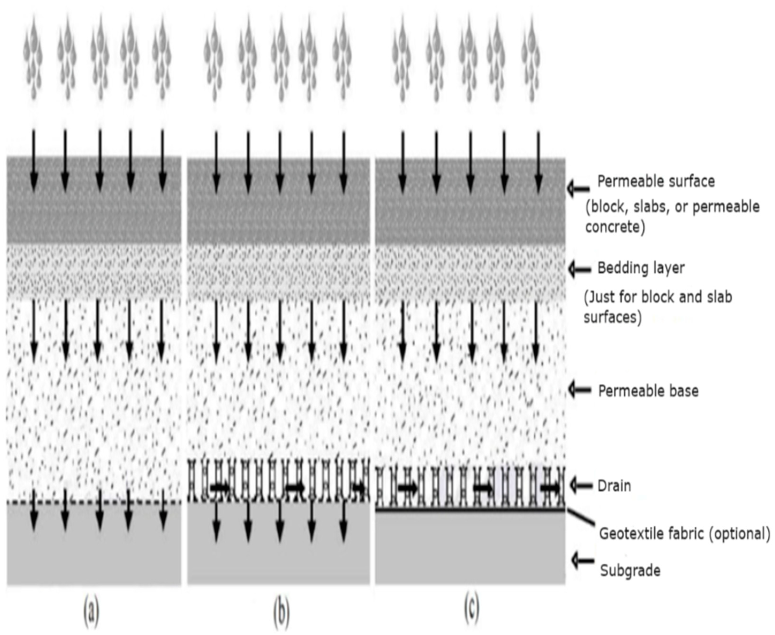 Preprints 118241 g003