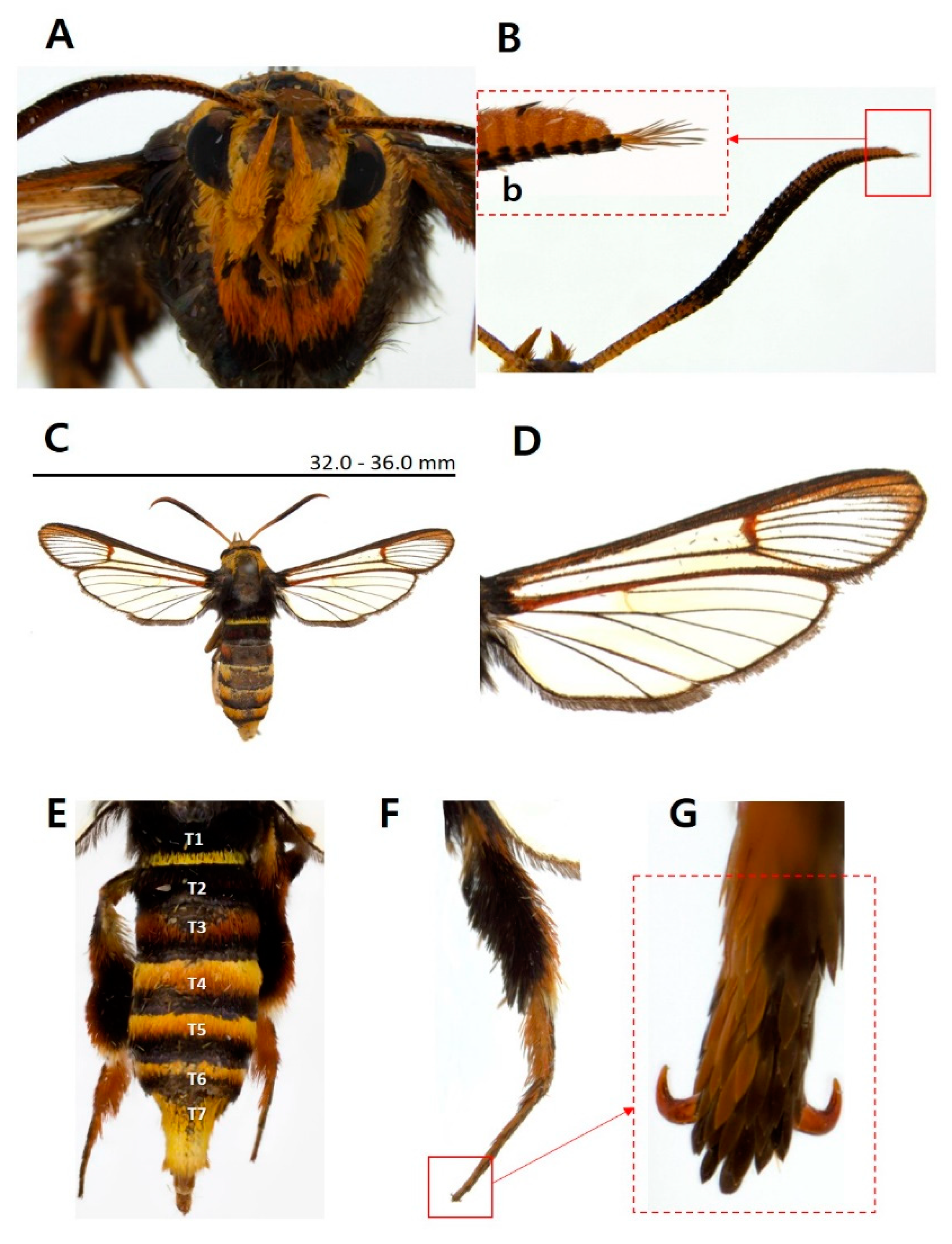 Preprints 93307 g003