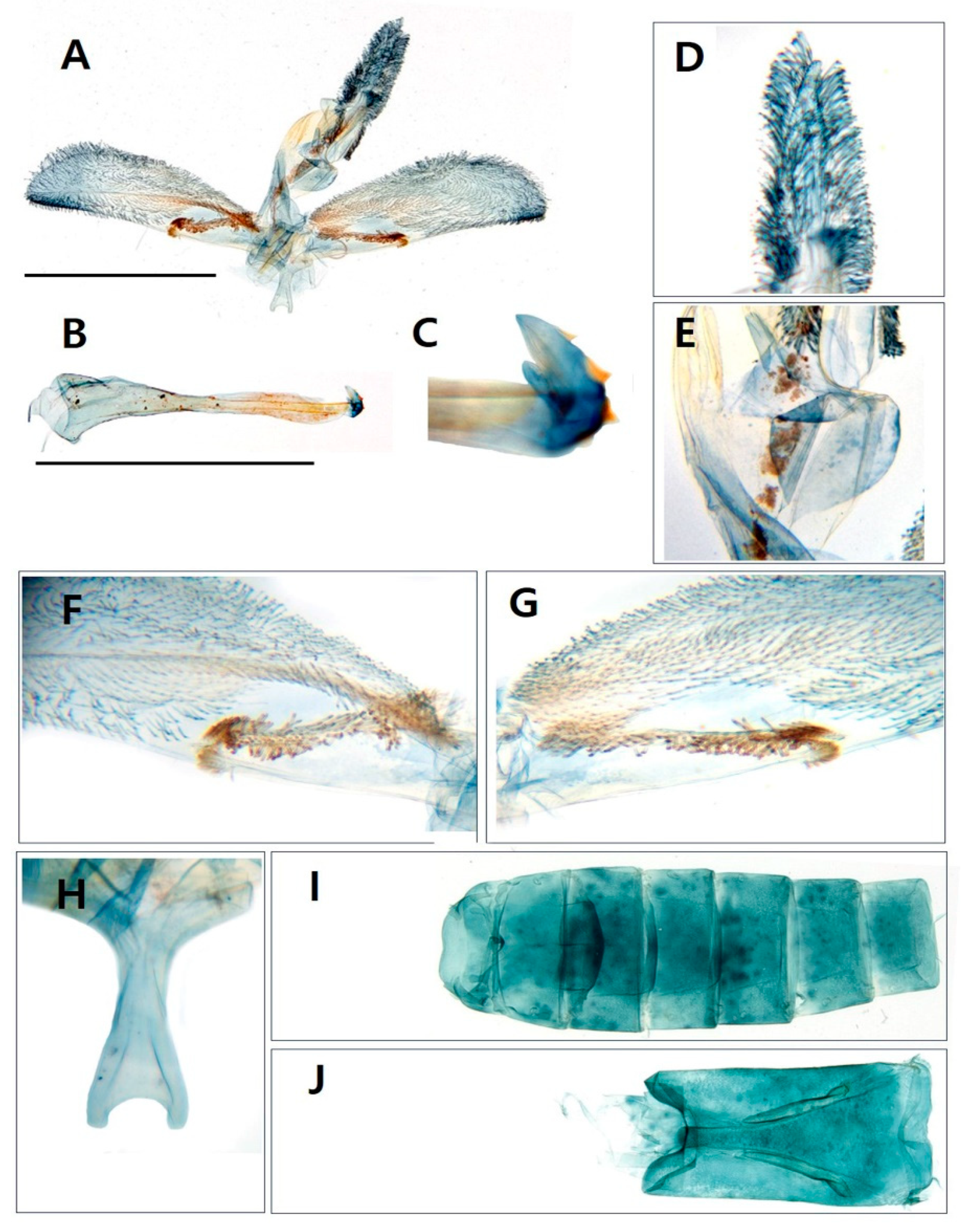 Preprints 93307 g006