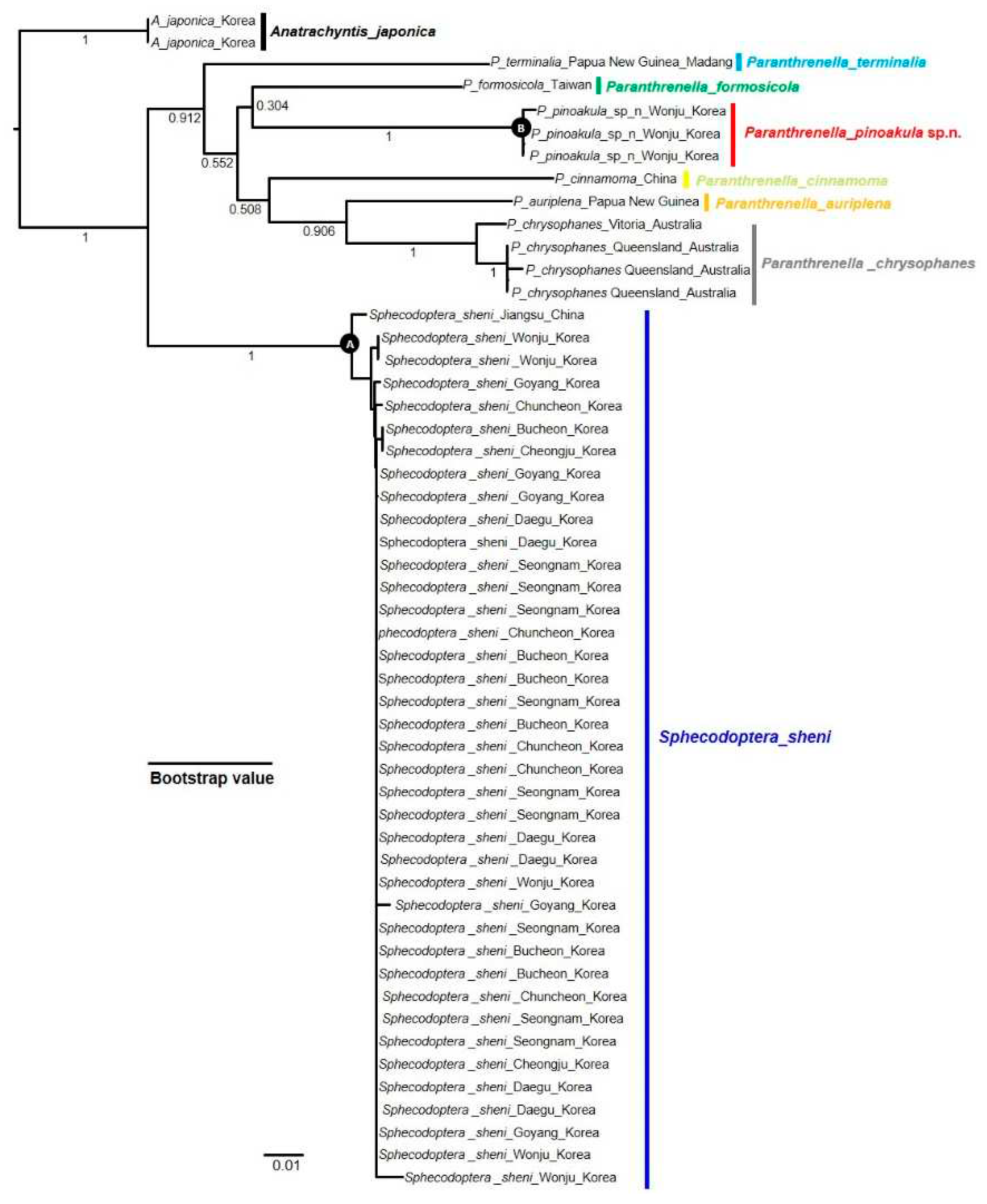 Preprints 93307 g008