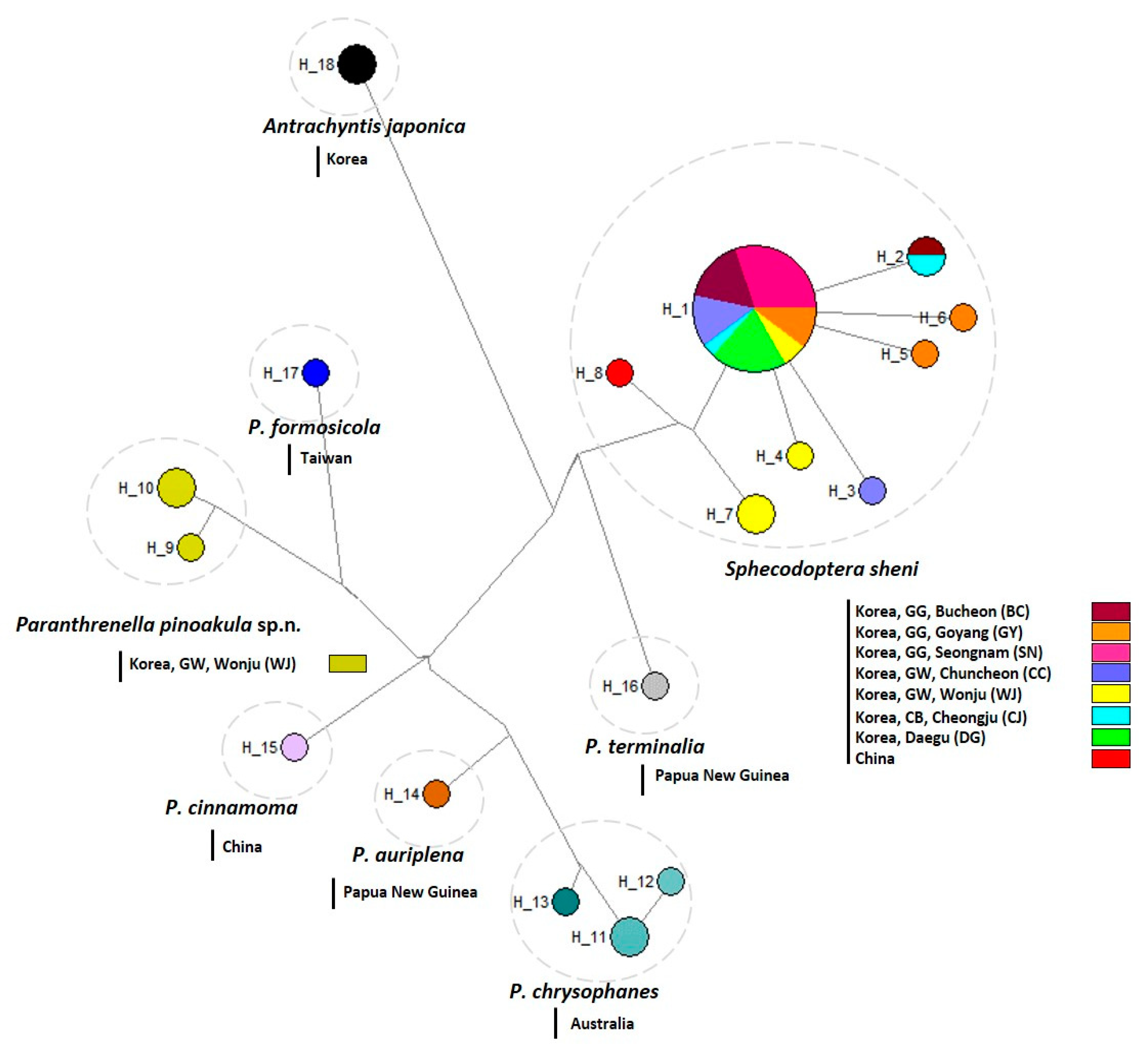 Preprints 93307 g009