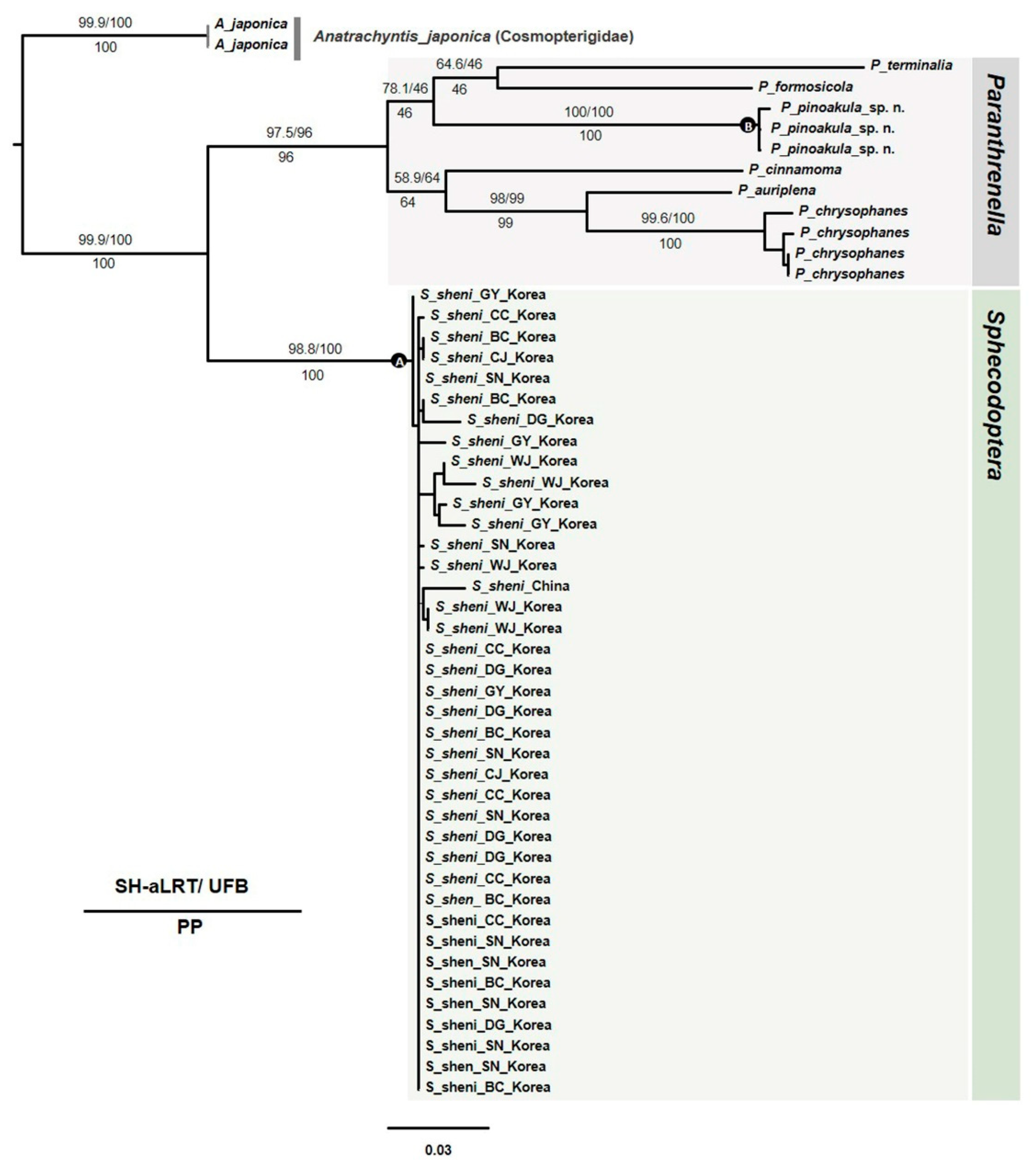 Preprints 93307 g010