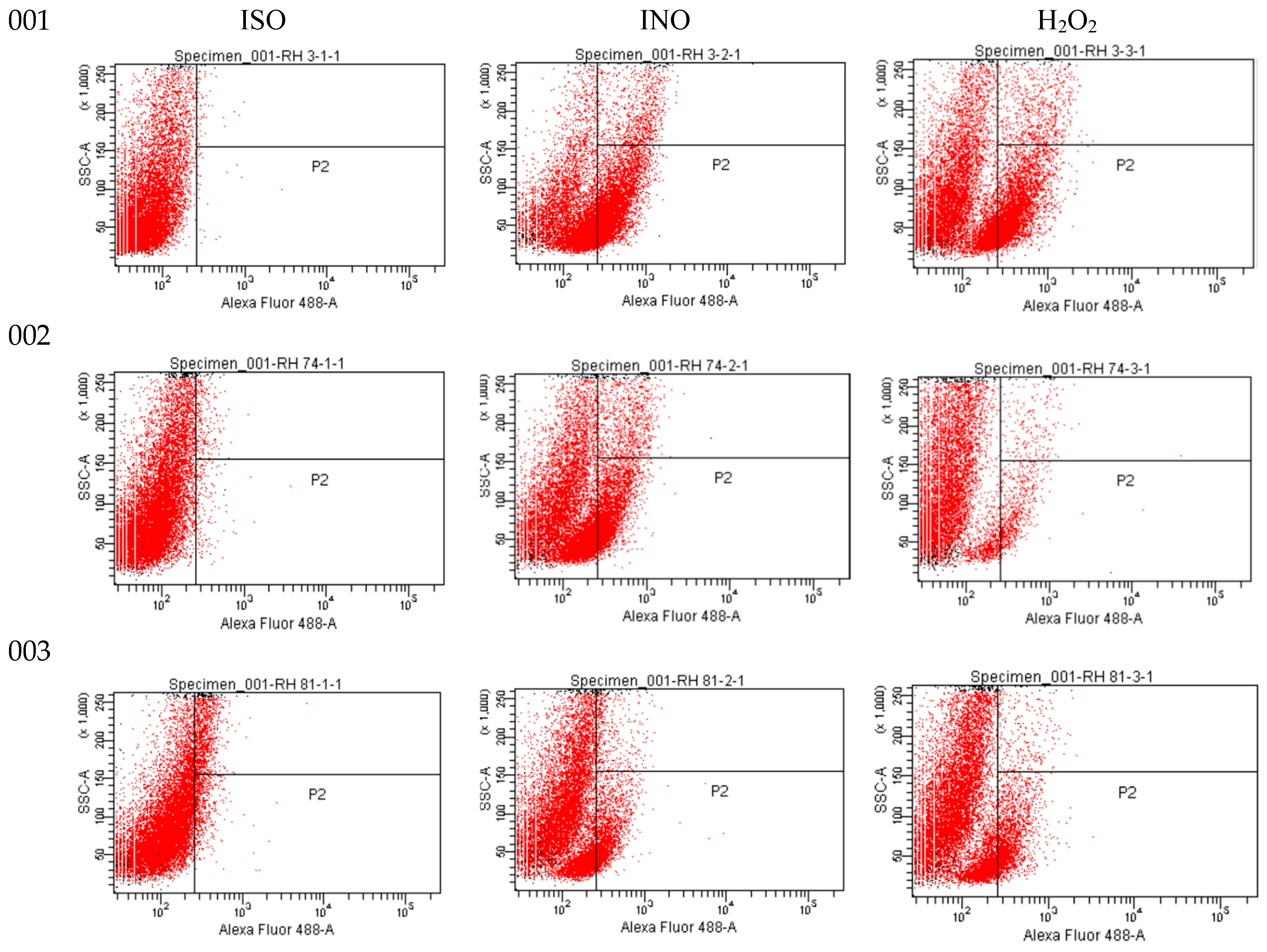 Preprints 74083 g003a